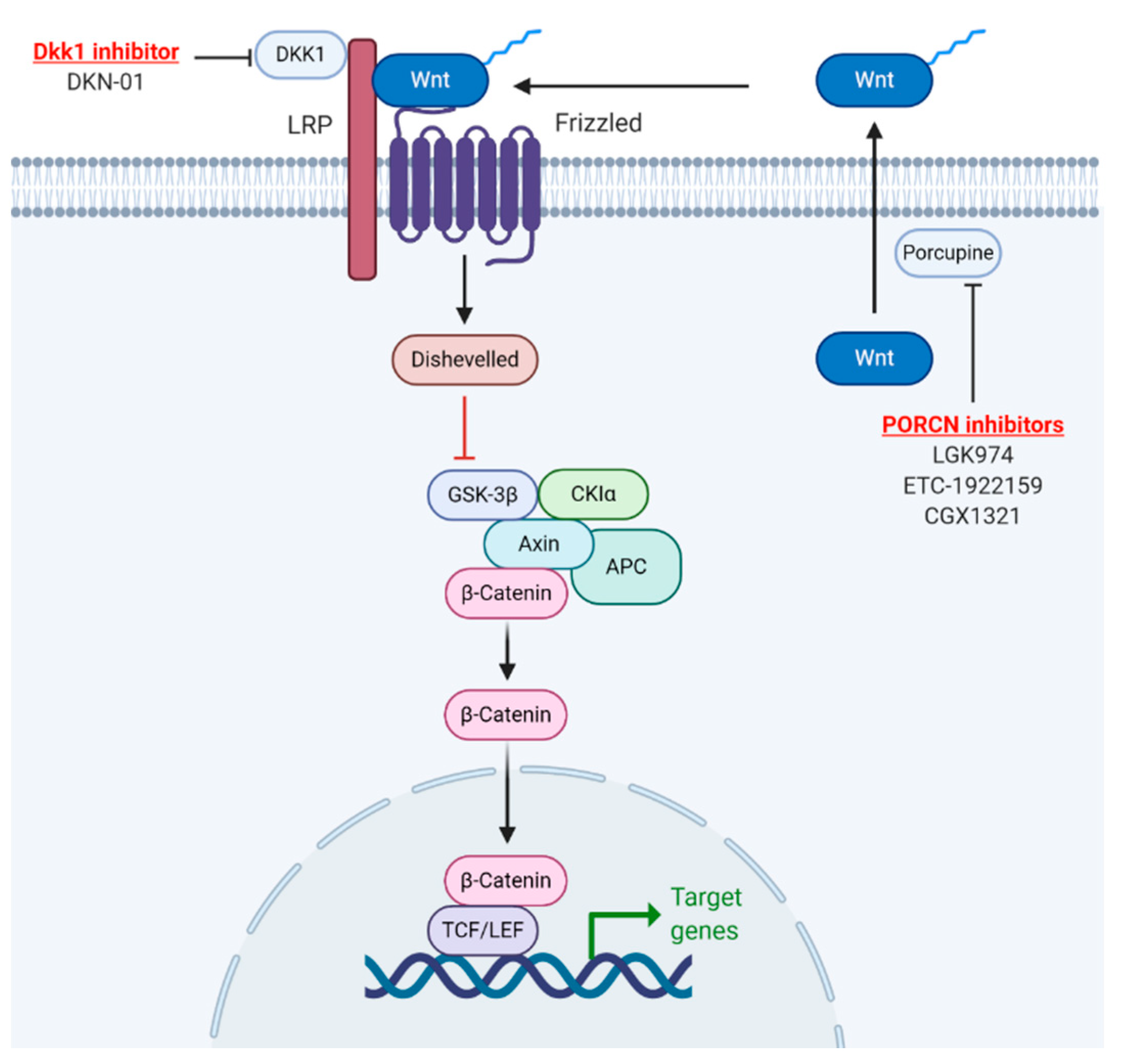 Cancers 13 00889 g005 Cancers 13 00889 g005