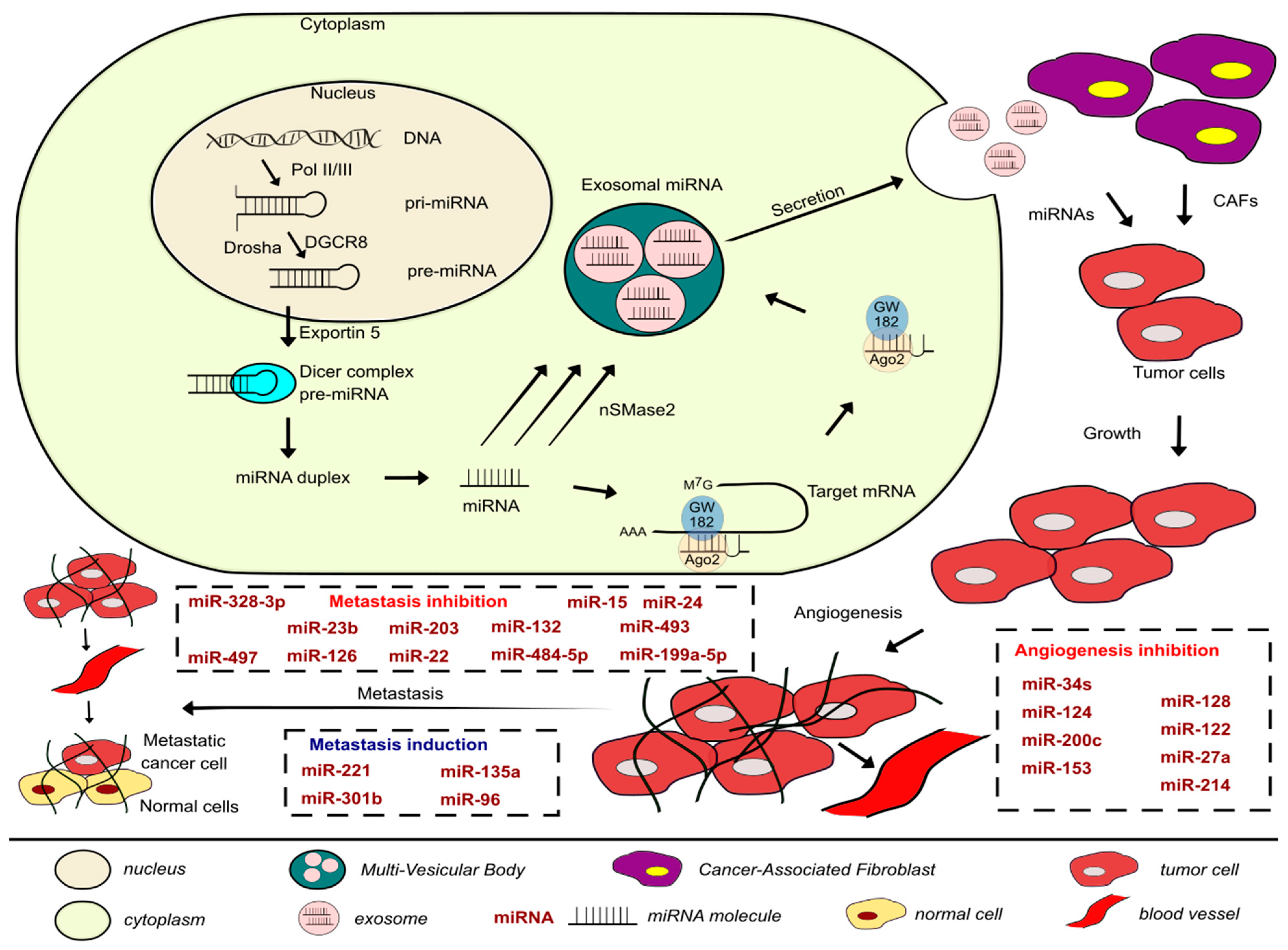 Cancers 13 00891 g001