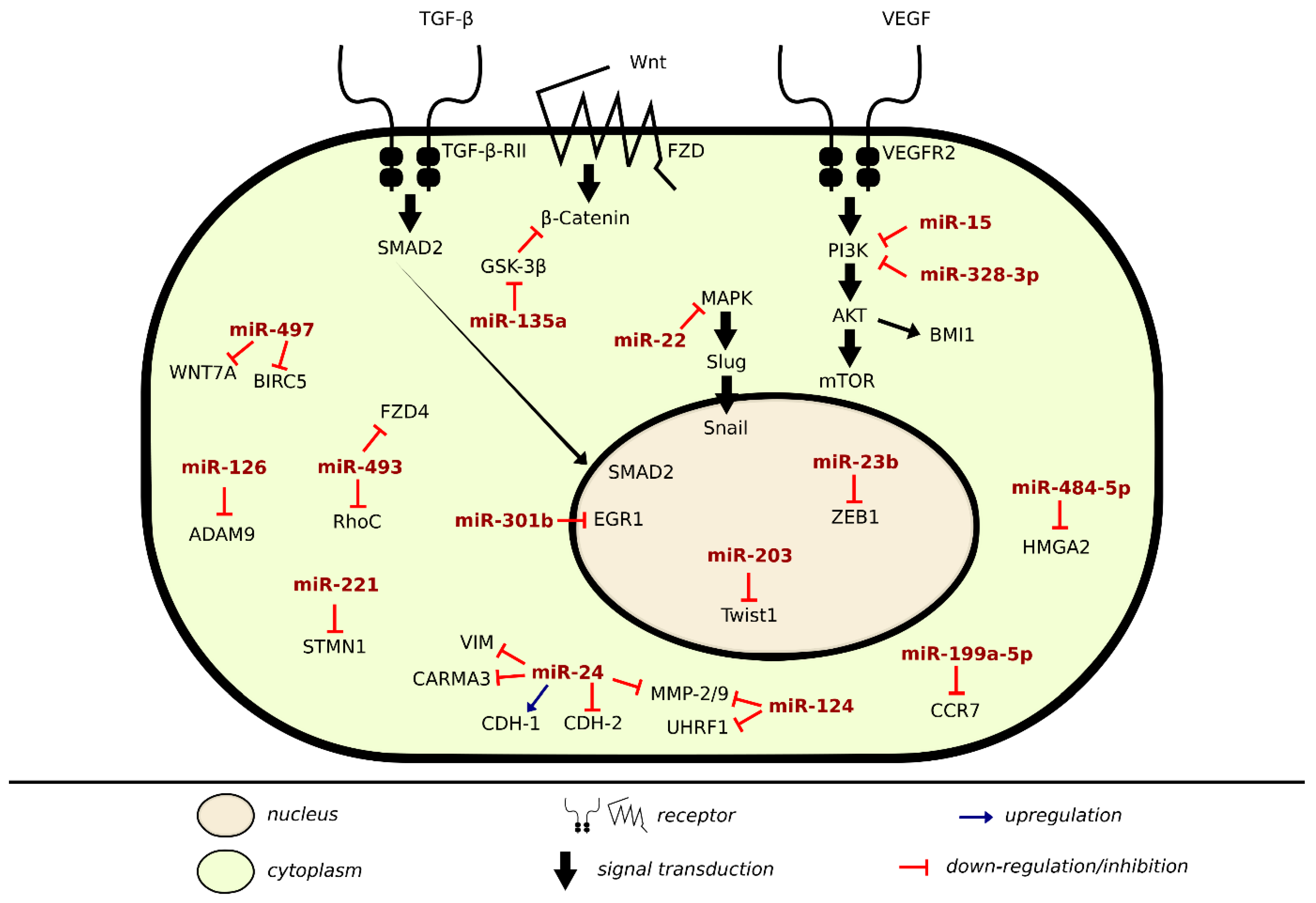 Cancers 13 00891 g002