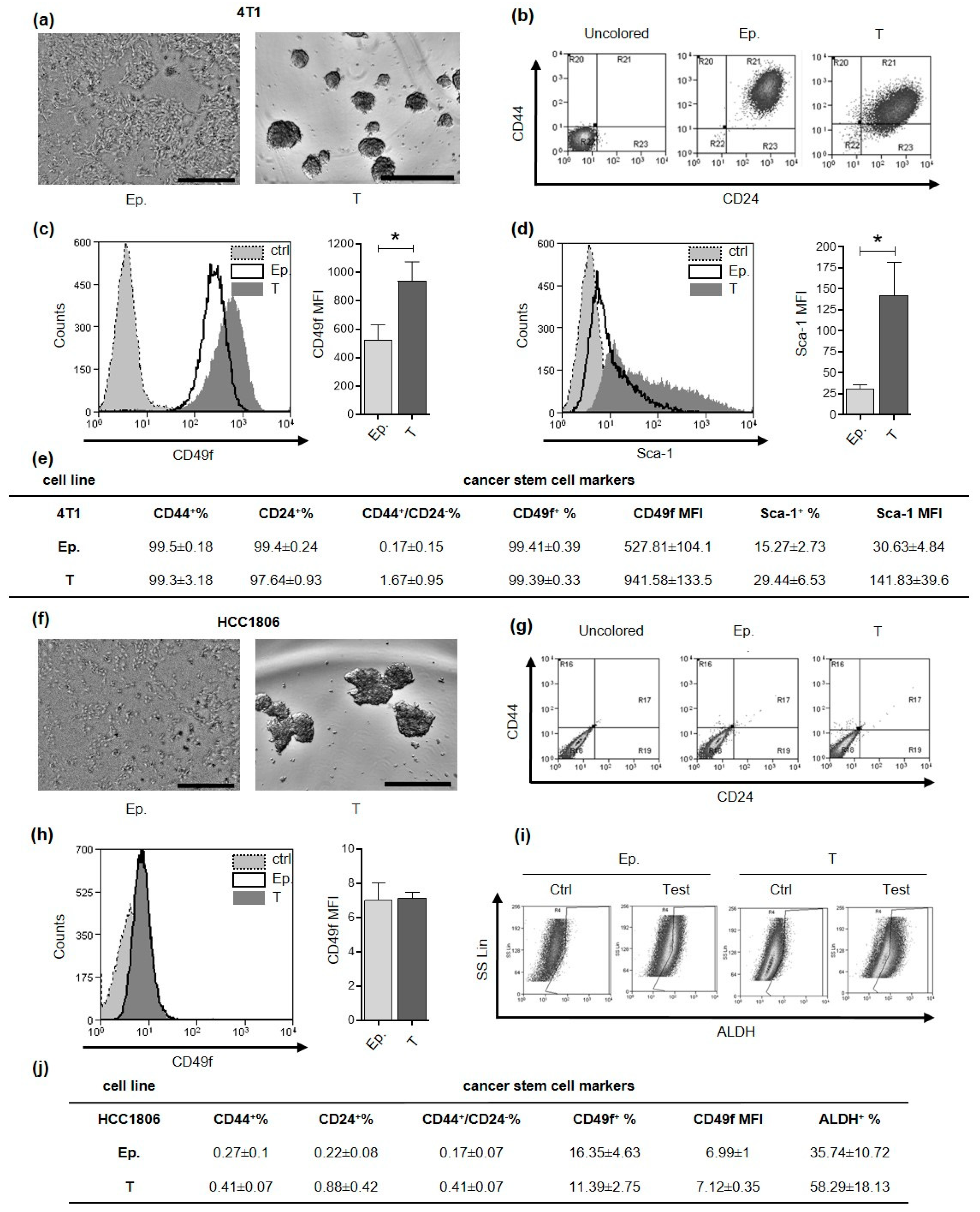 Cancers 13 00894 g001