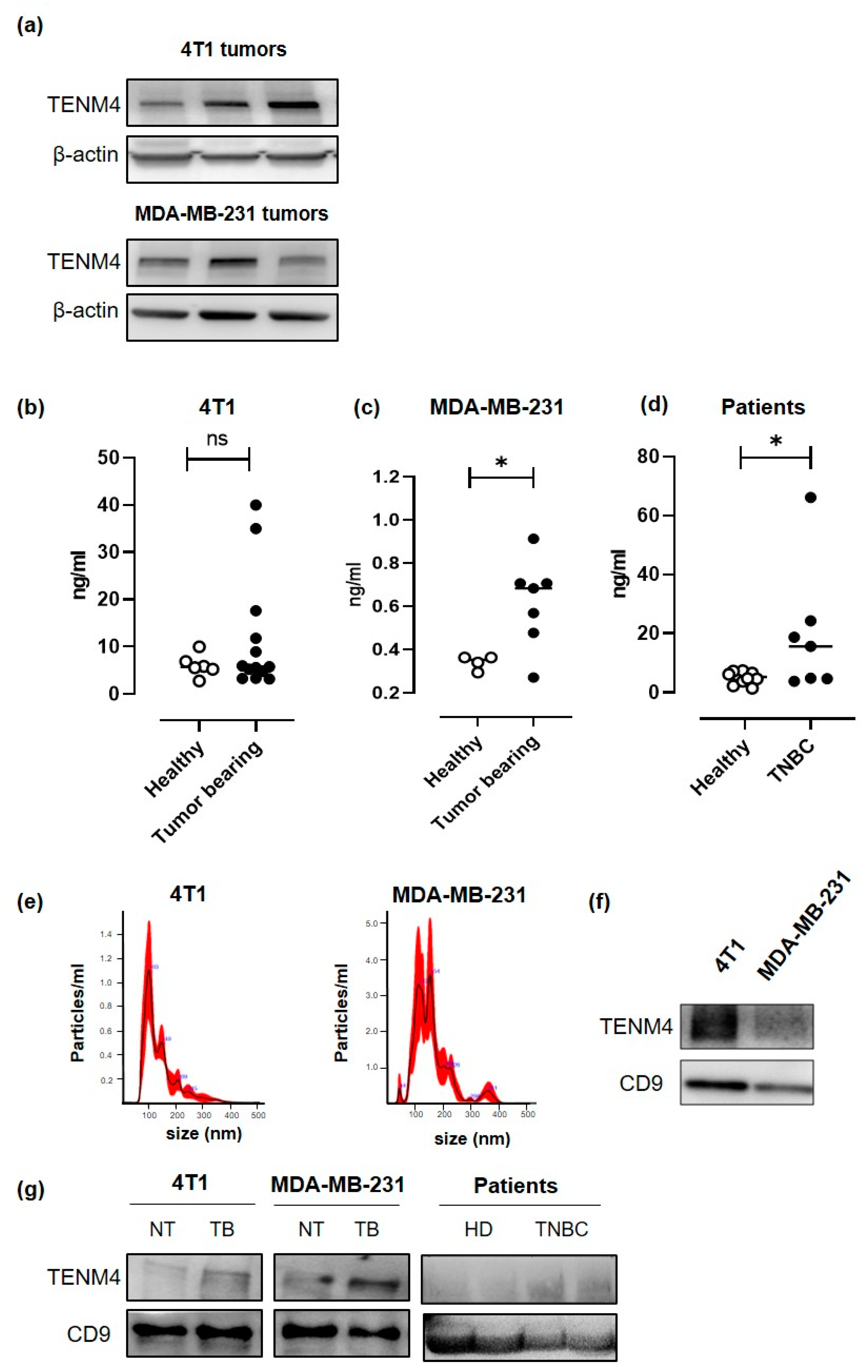 Cancers 13 00894 g005