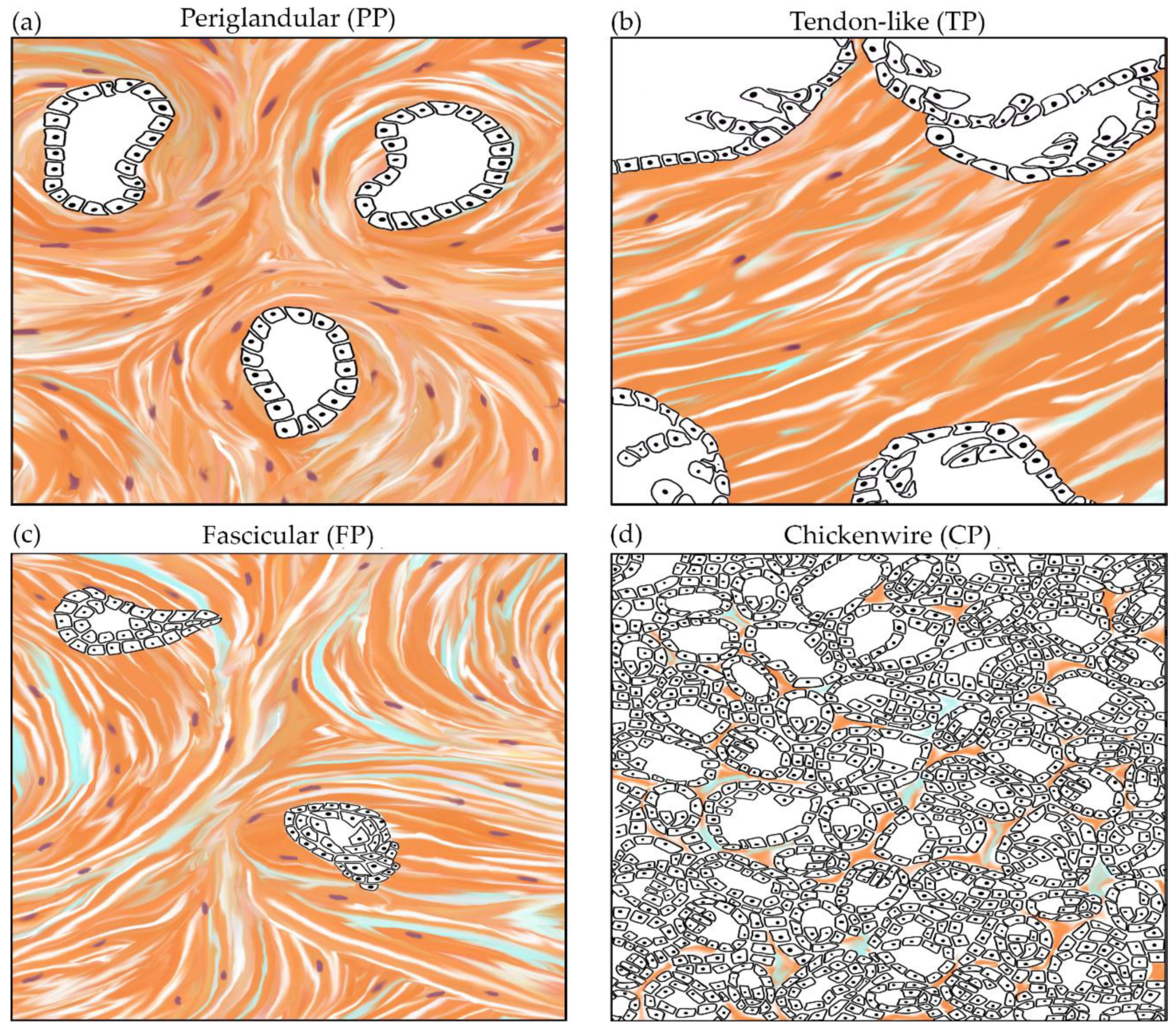 Cancers 13 00895 g001