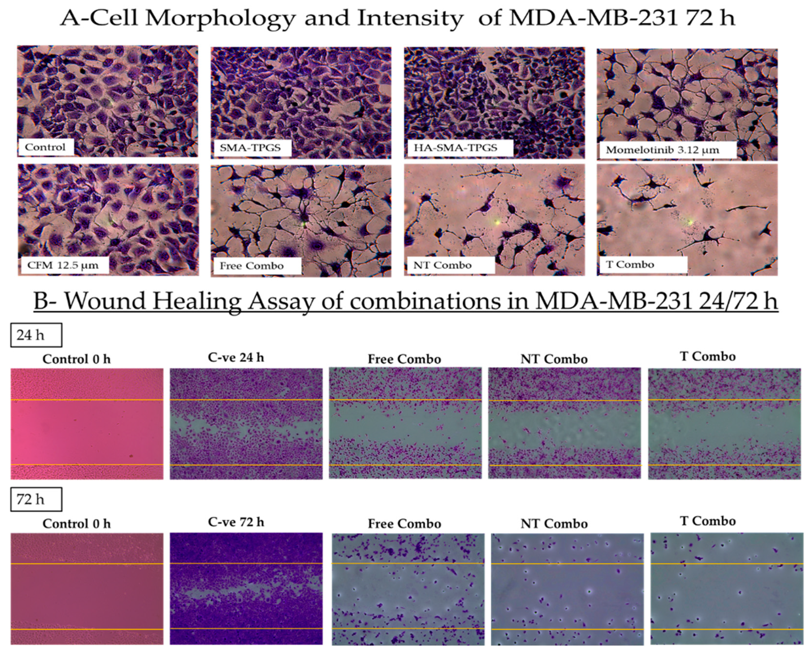 Cancers 13 00898 g007