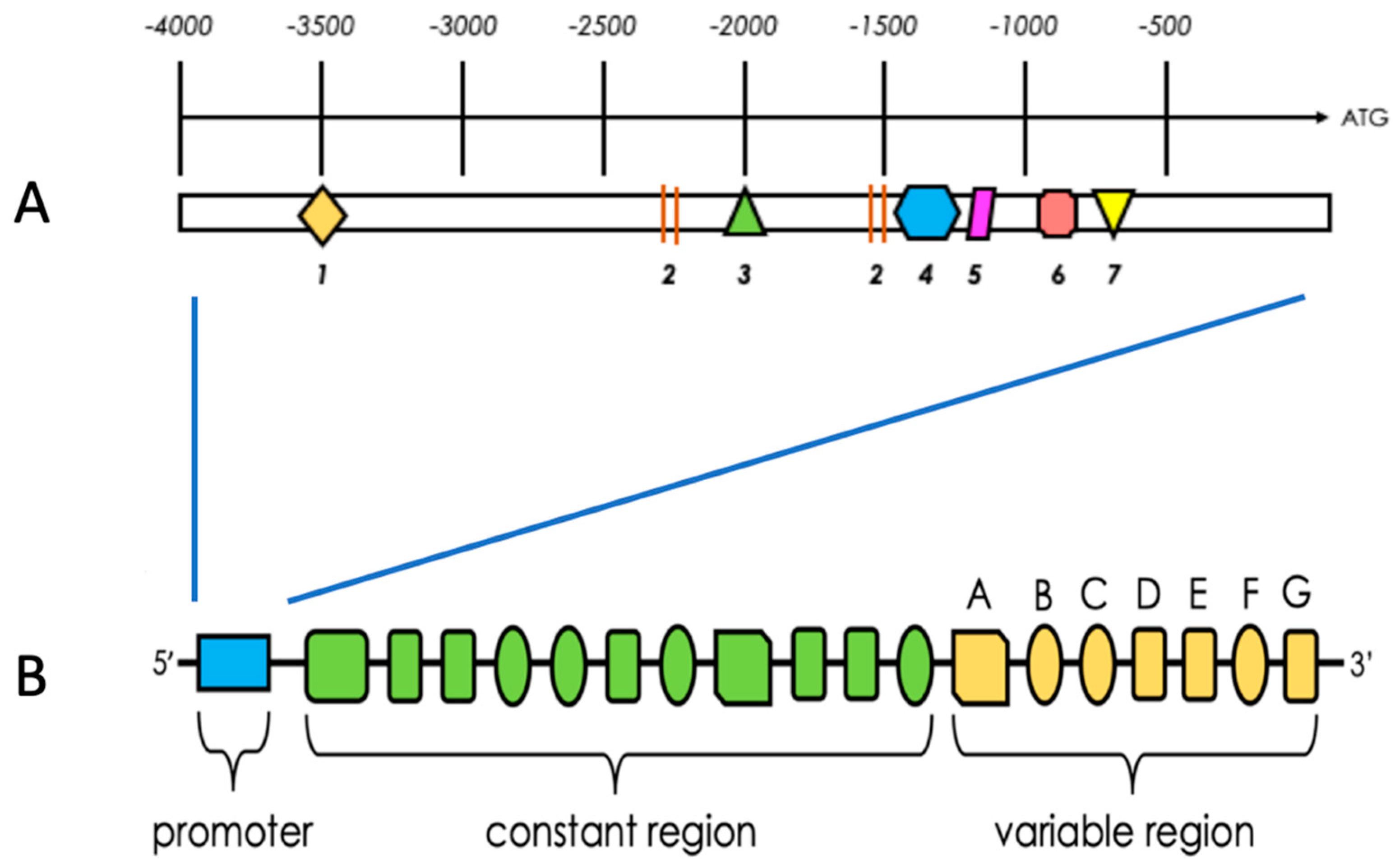 Cancers 13 00909 g002