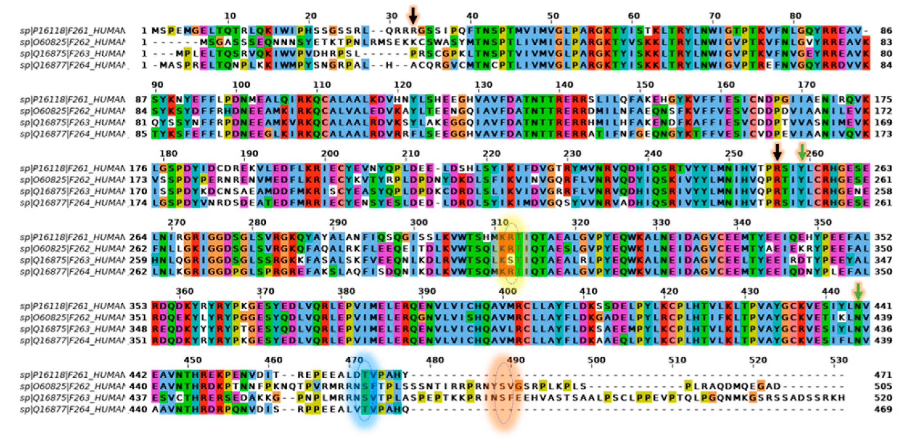 Cancers 13 00909 g004