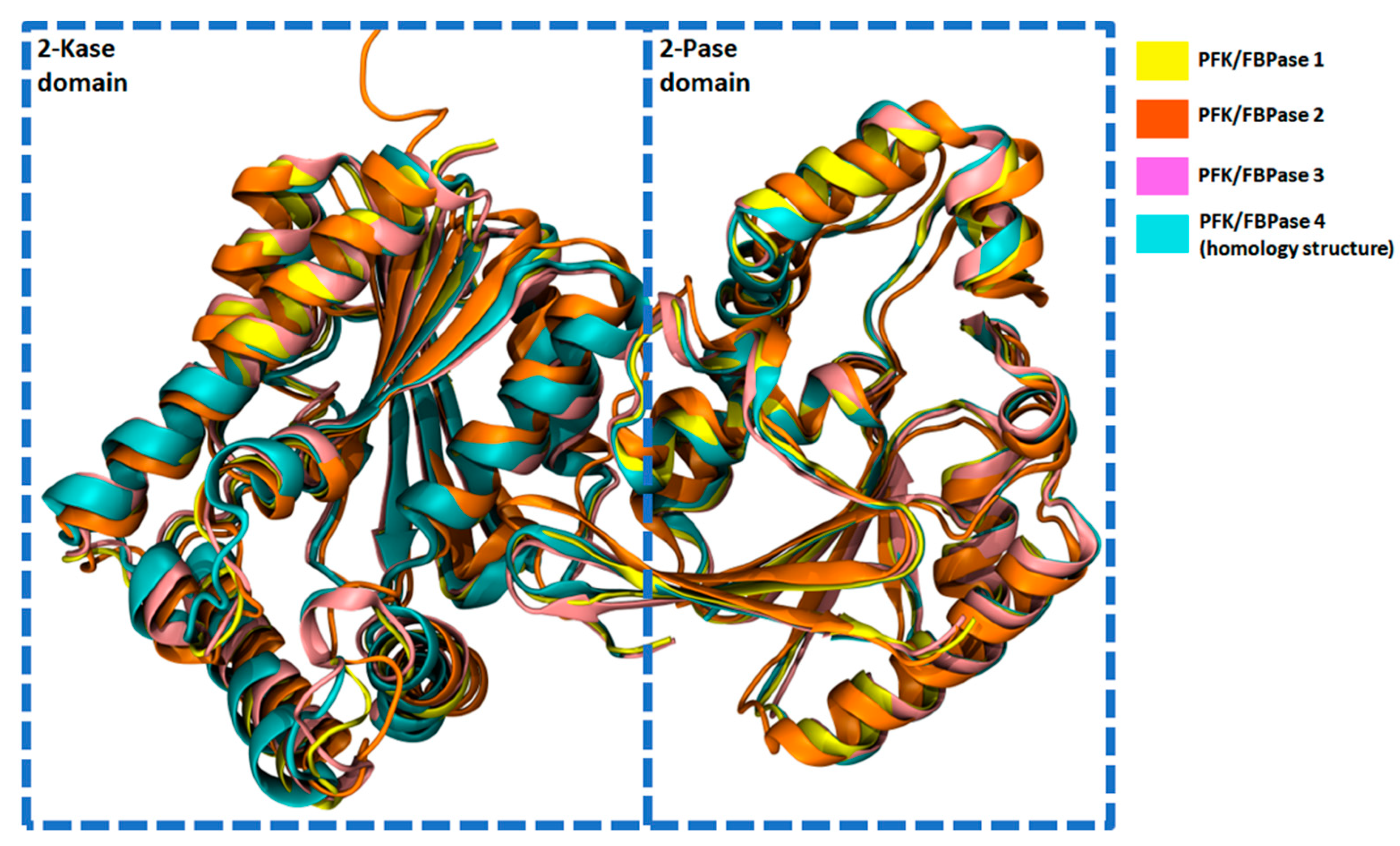 Cancers 13 00909 g005