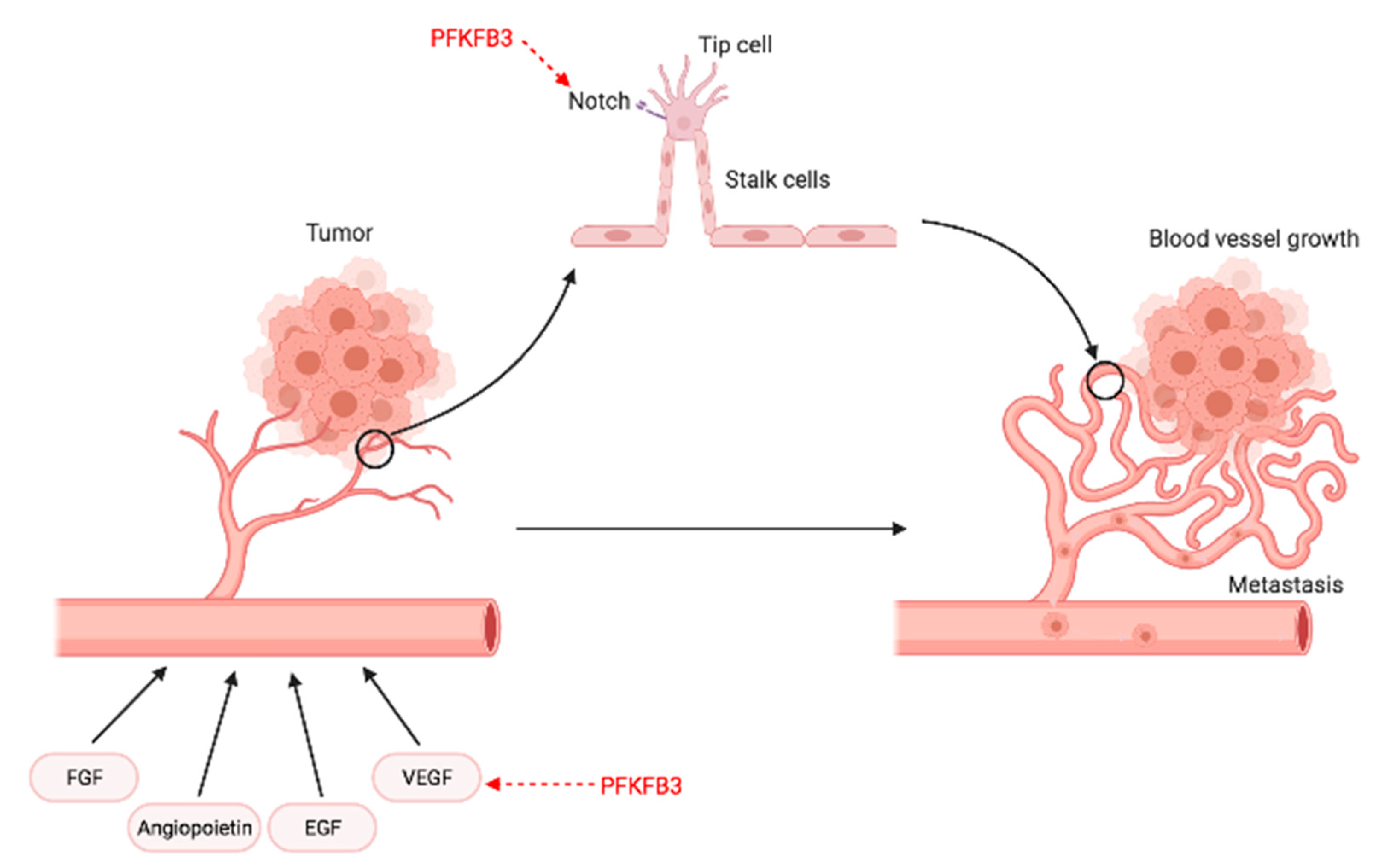 Cancers 13 00909 g009