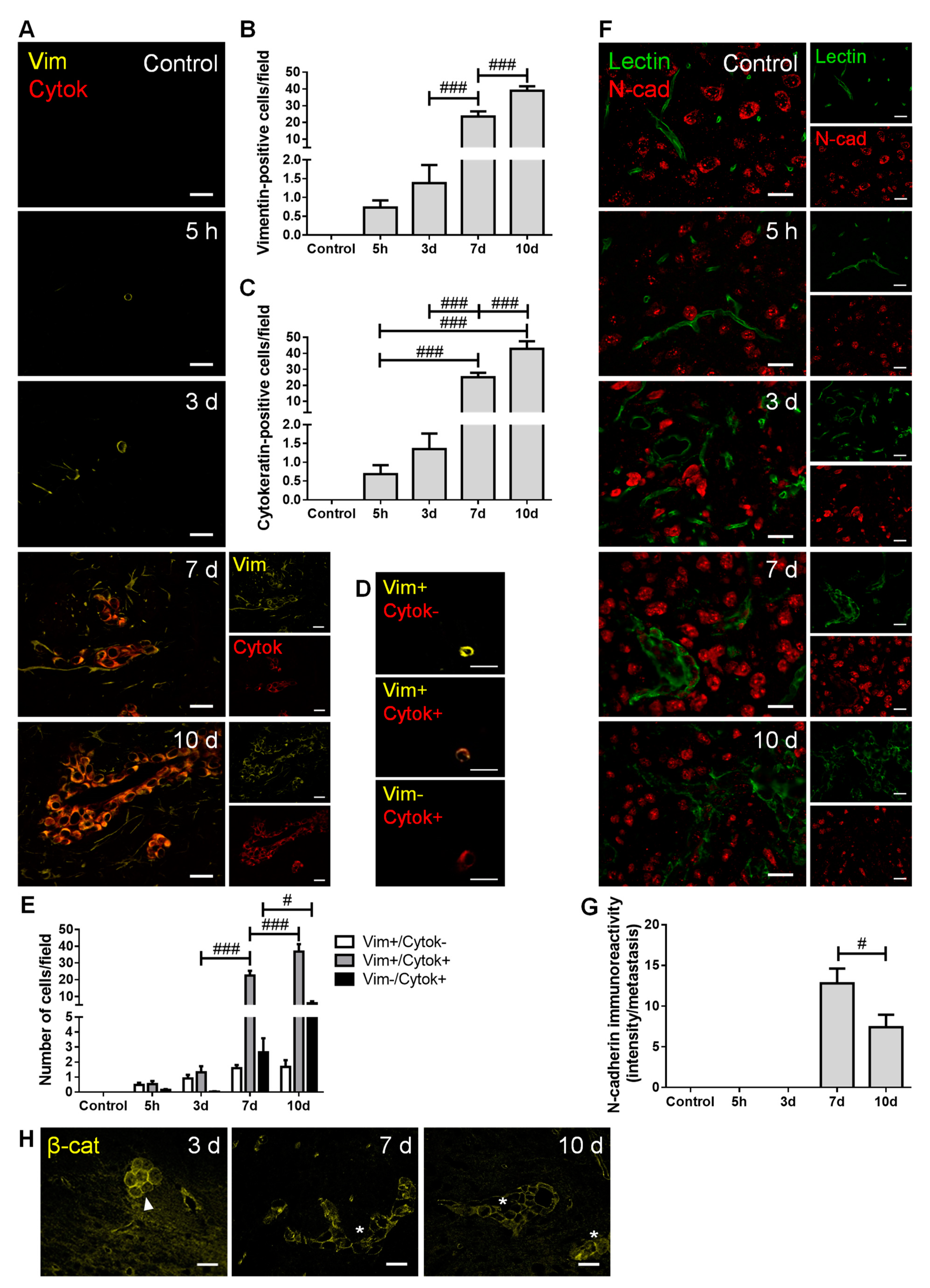 Cancers 13 00910 g002