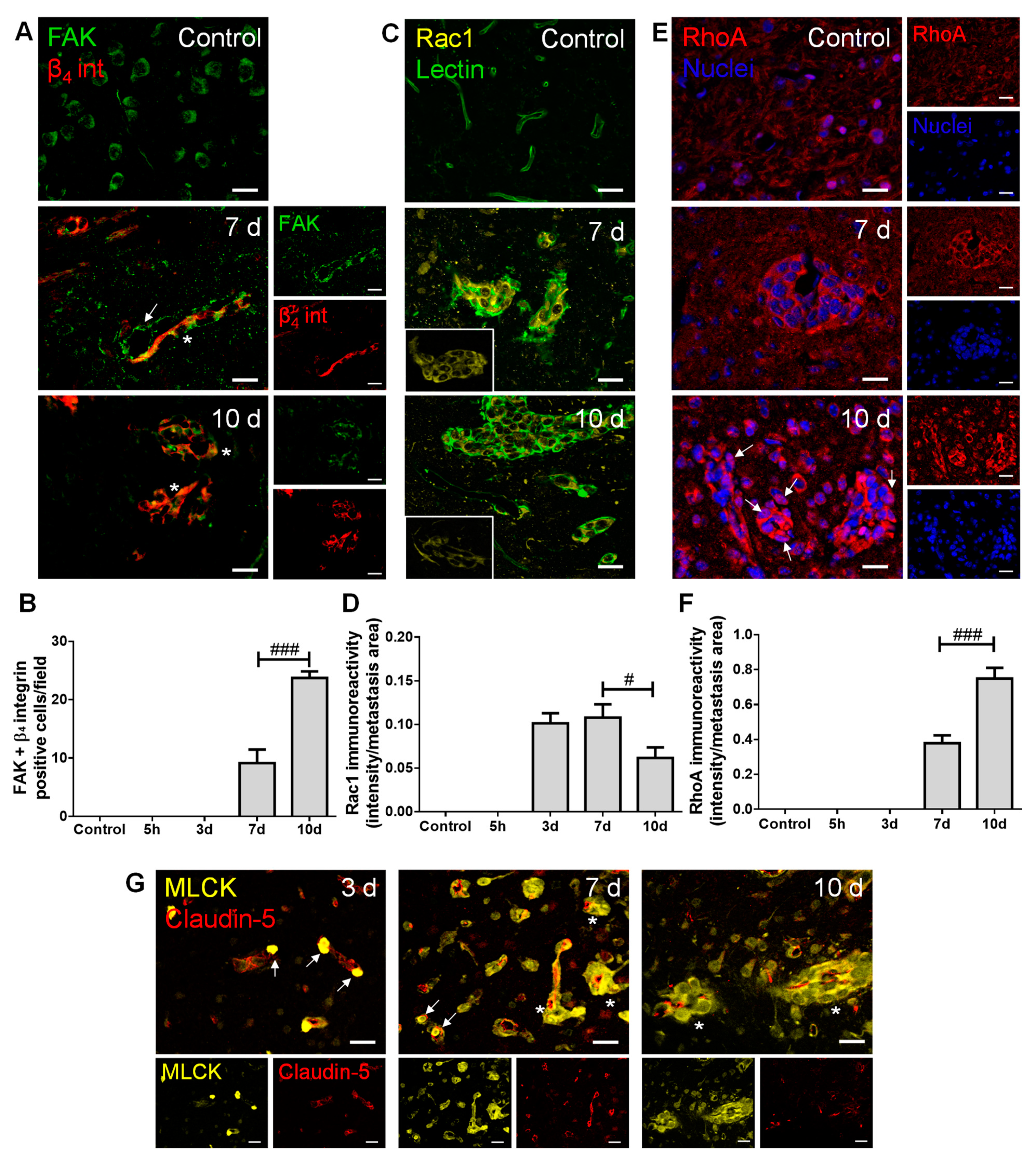 Cancers 13 00910 g003