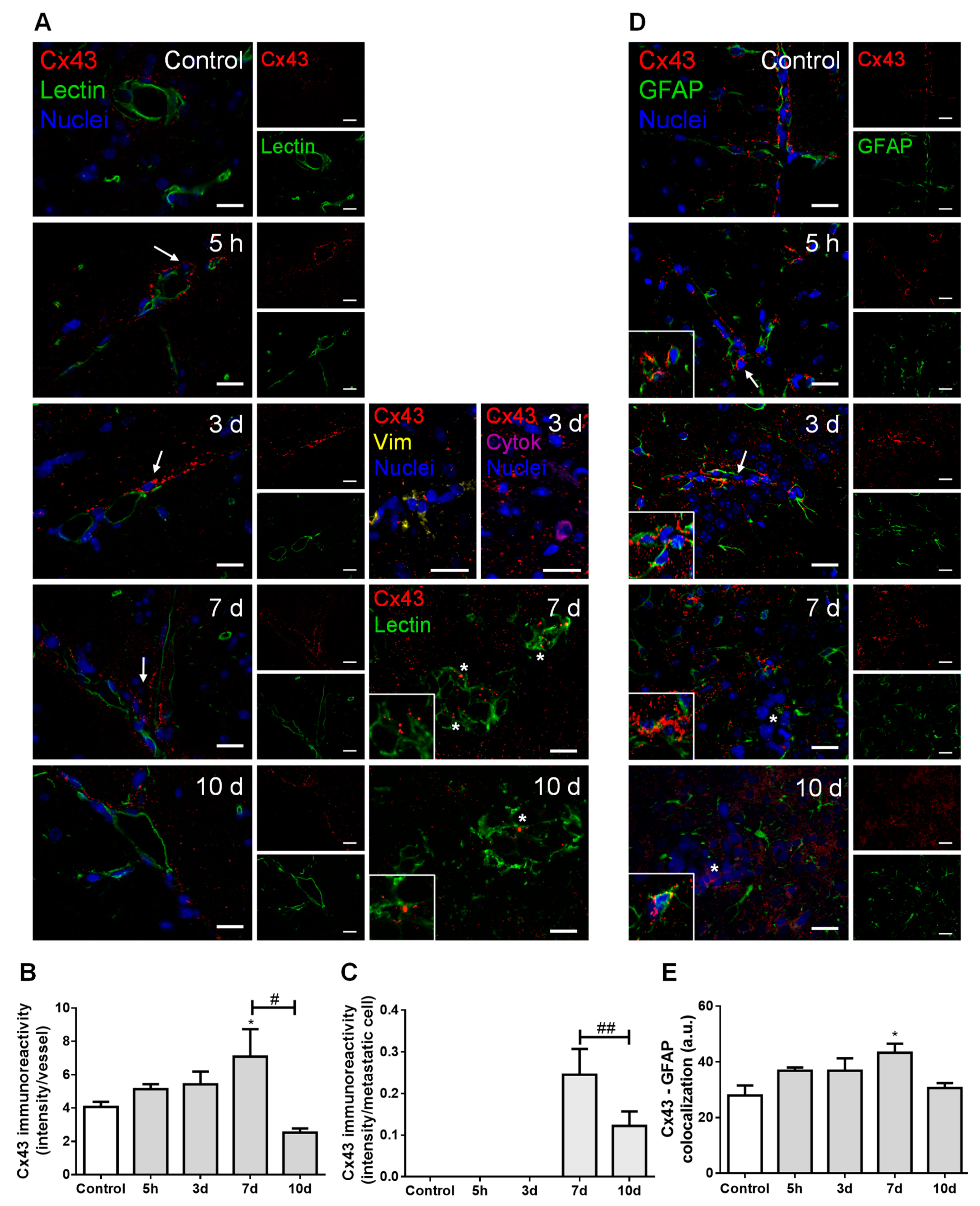 Cancers 13 00910 g004