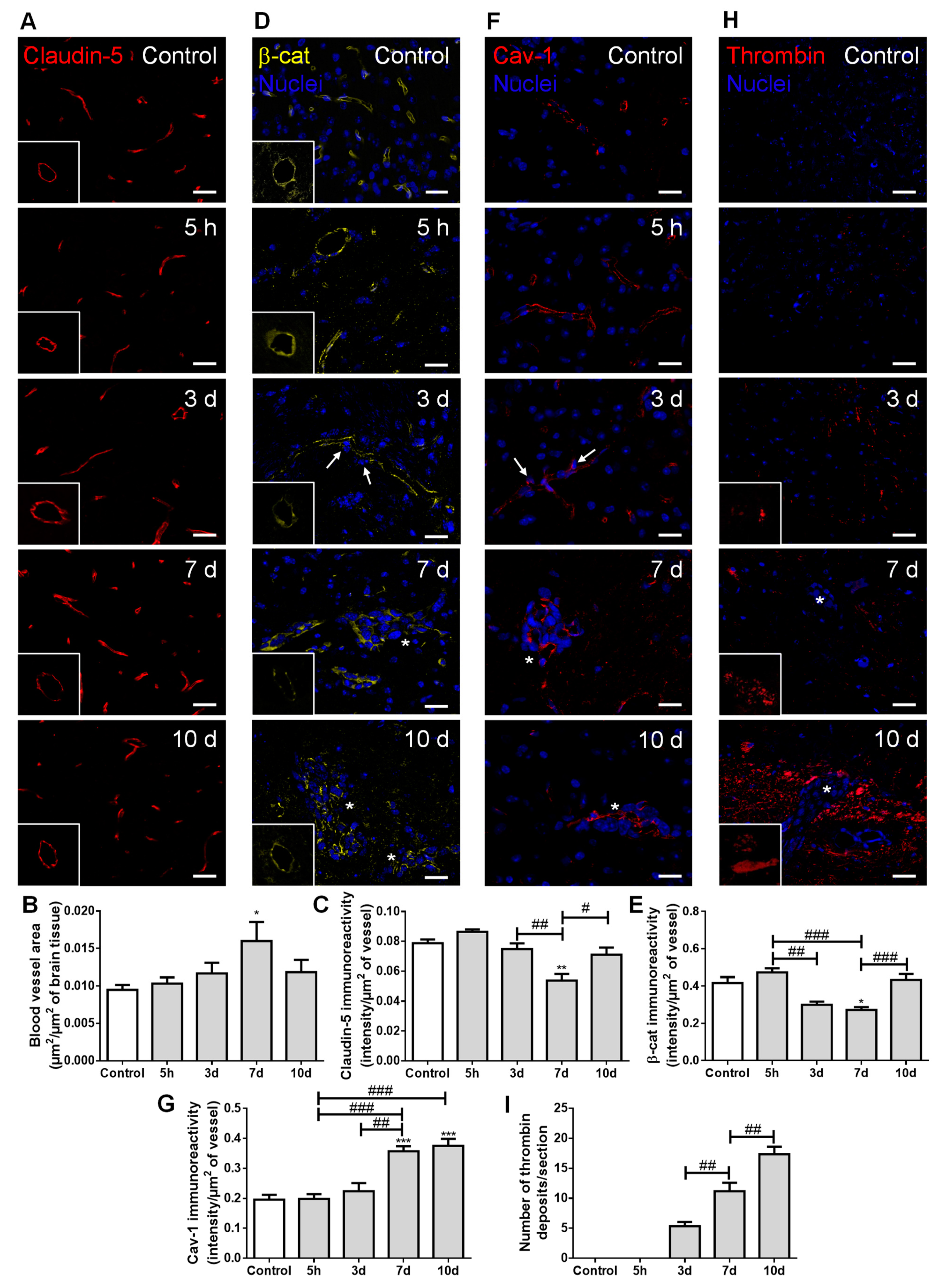 Cancers 13 00910 g005