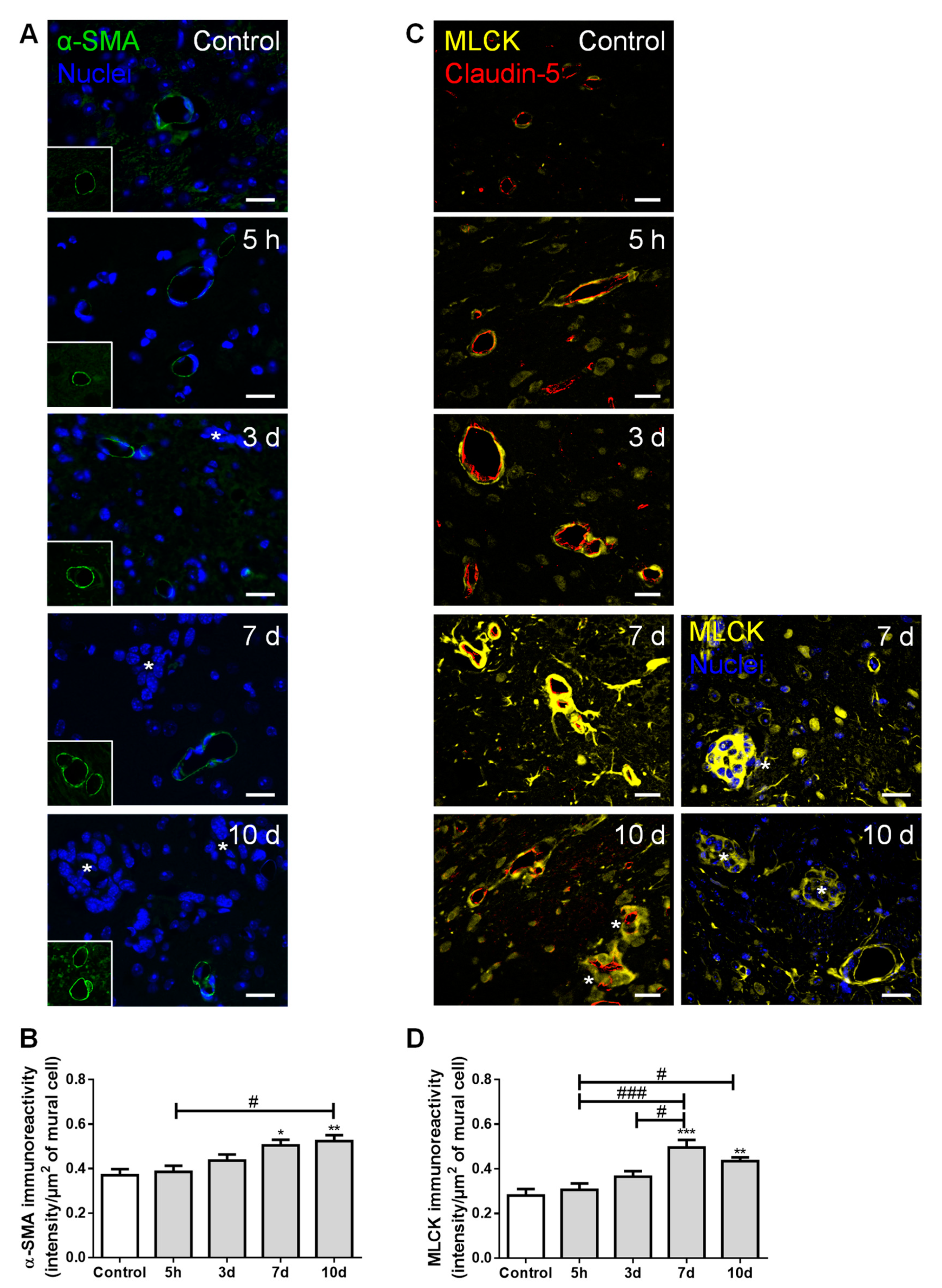 Cancers 13 00910 g006