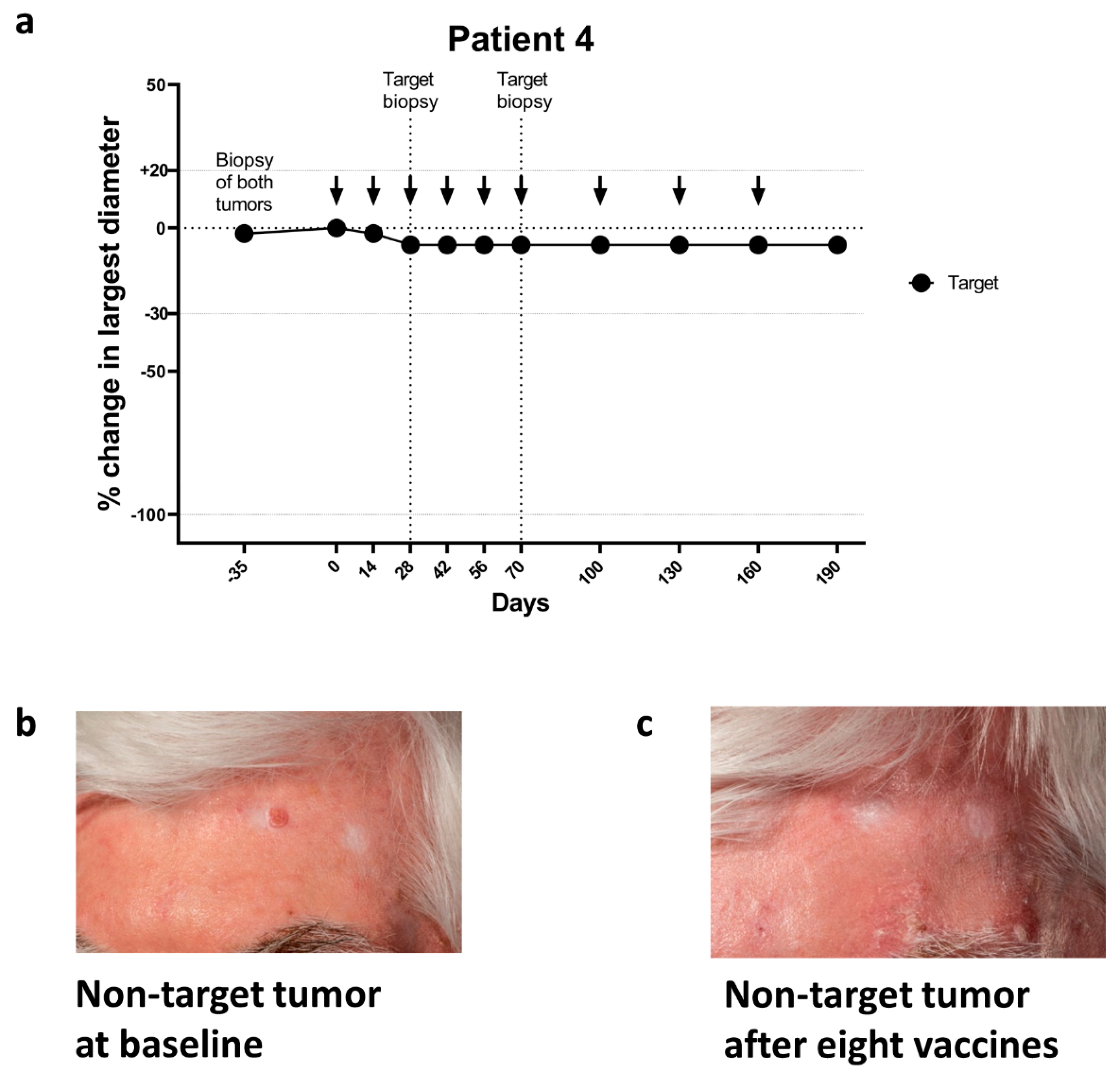 Cancers 13 00911 g003