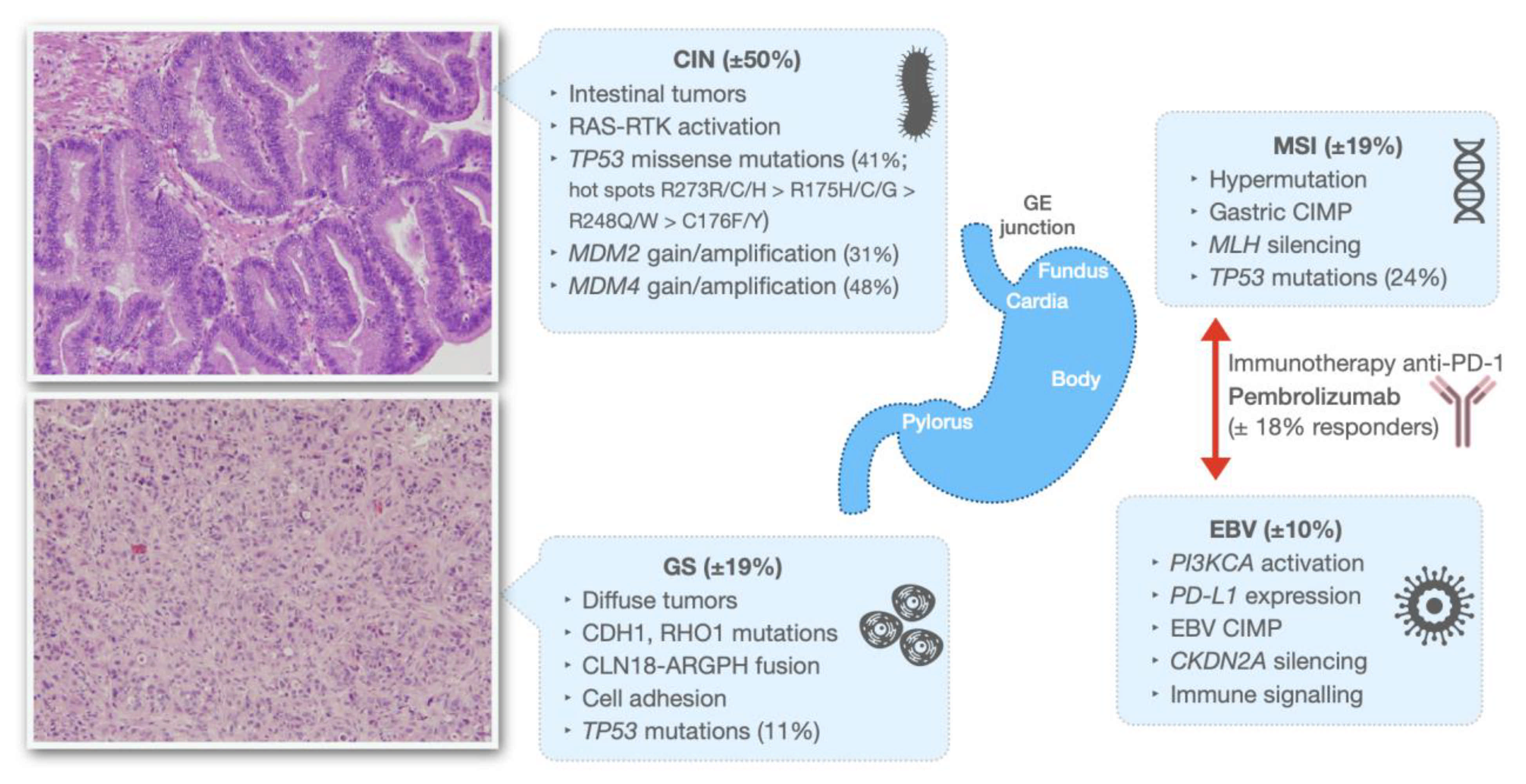 Cancers 13 00916 g001