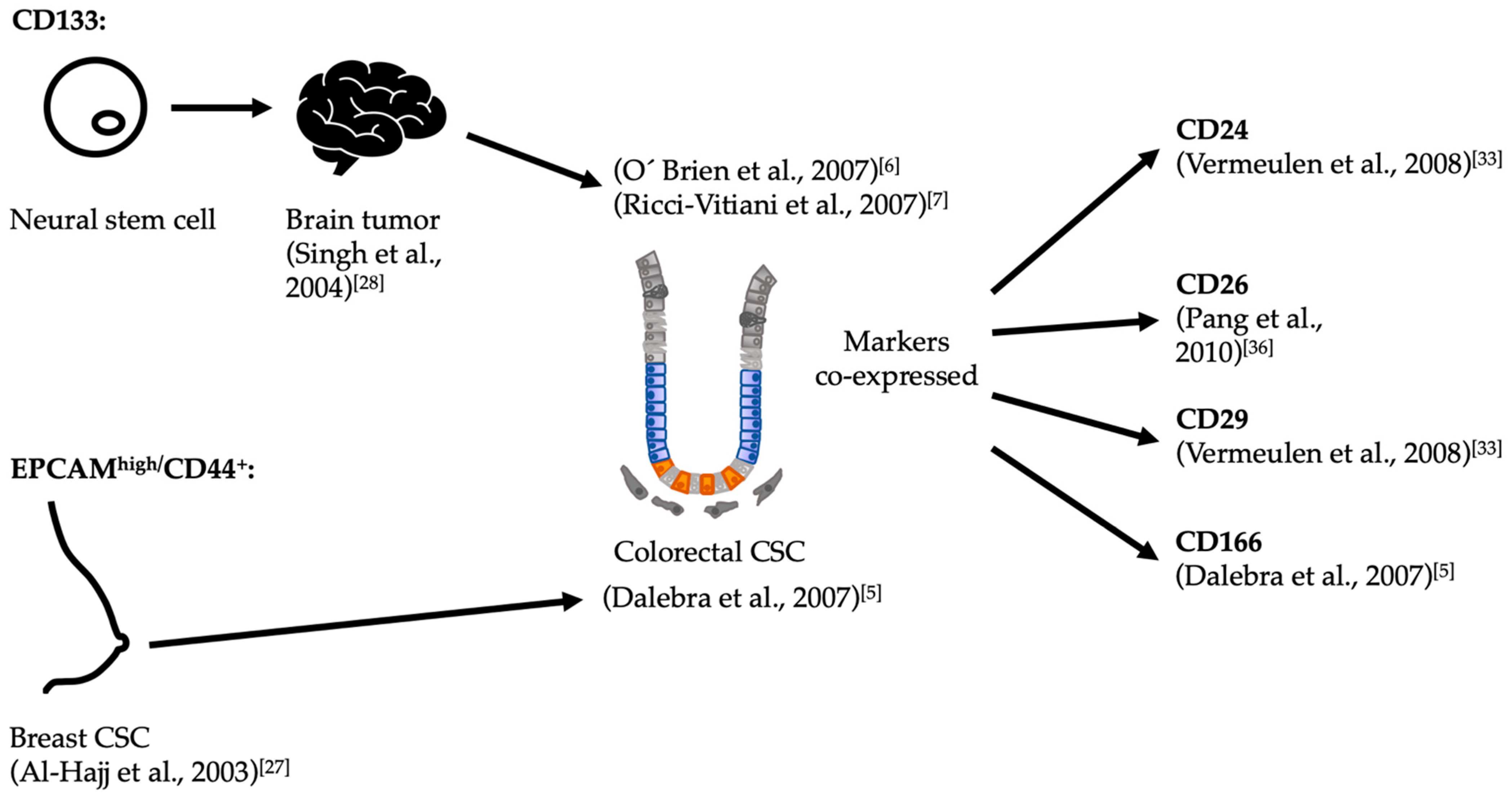 Cancers 13 00918 g002