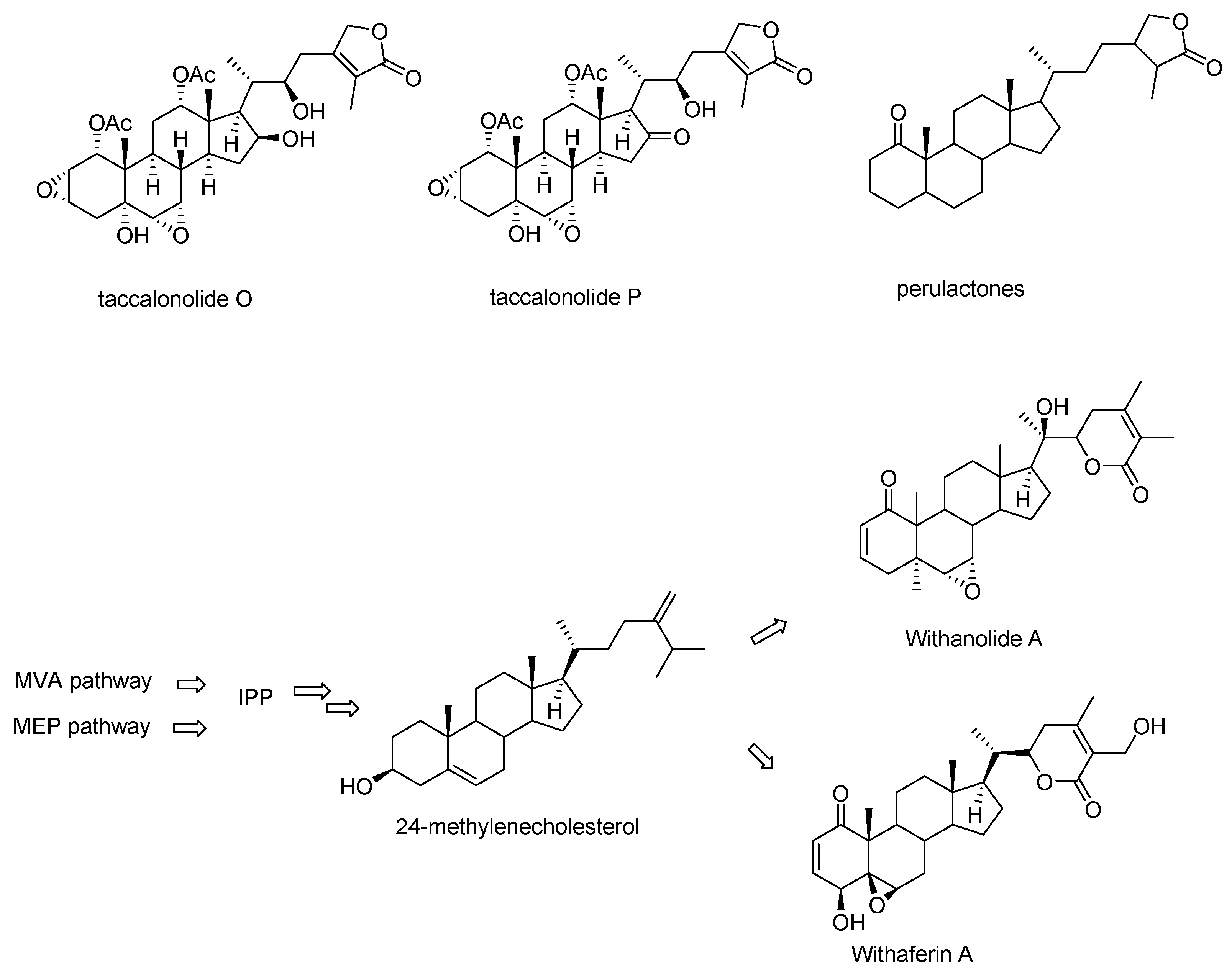 Cancers 13 00920 g003