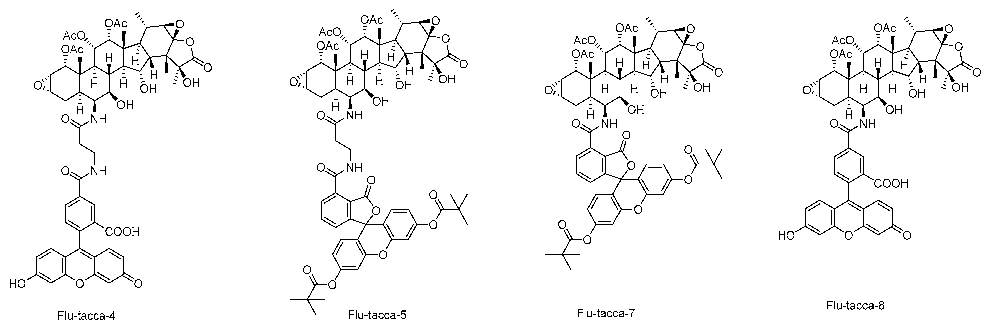 Cancers 13 00920 g006