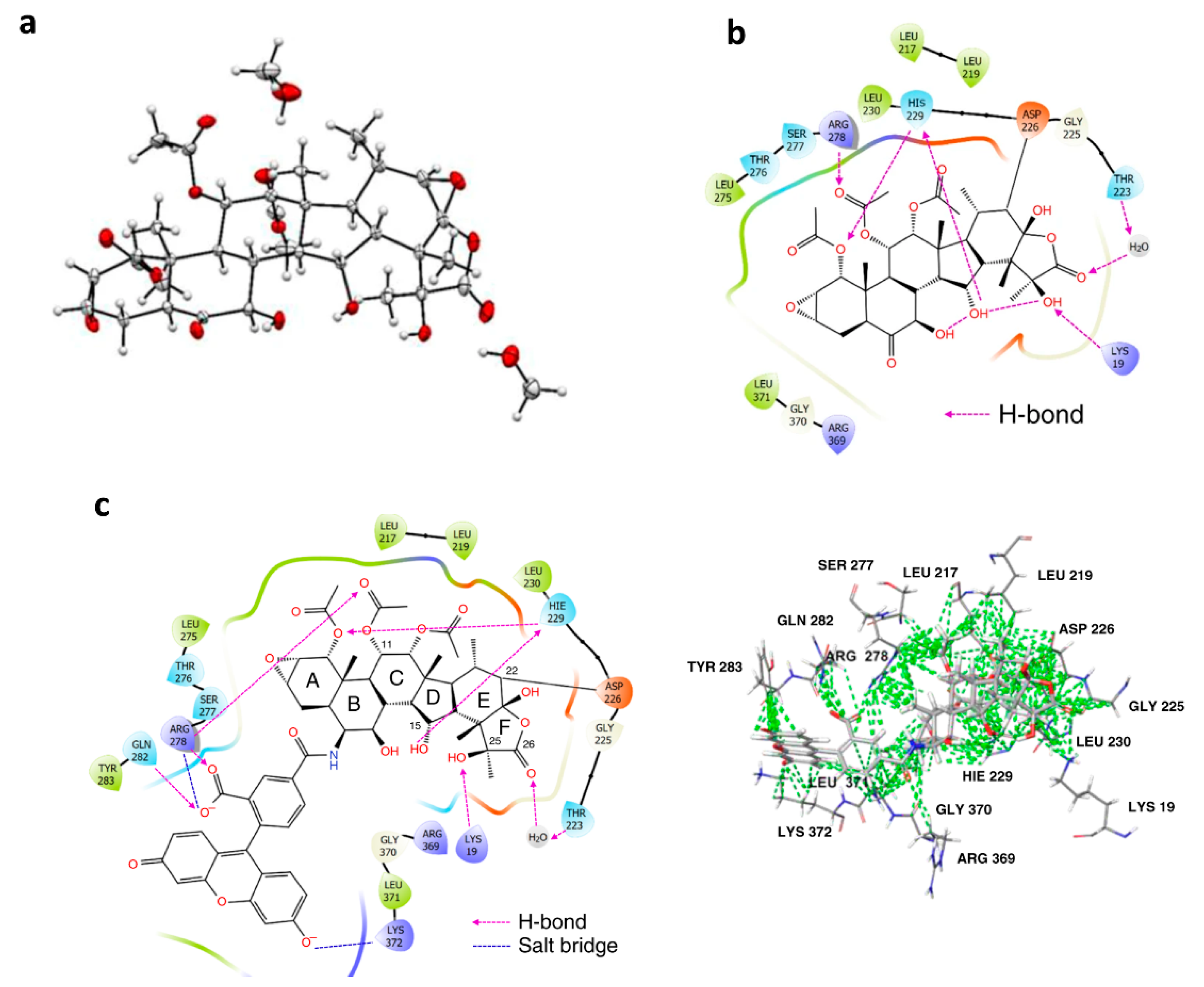 Cancers 13 00920 g008