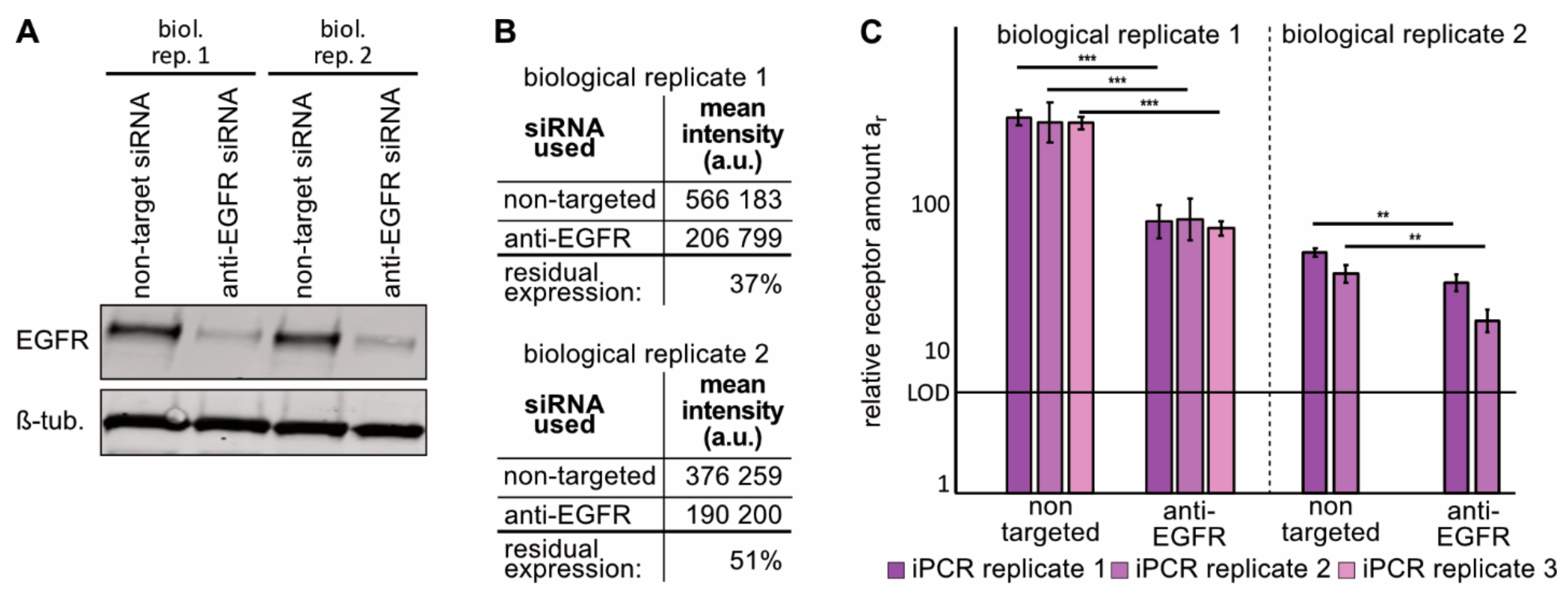 Cancers 13 00922 g003