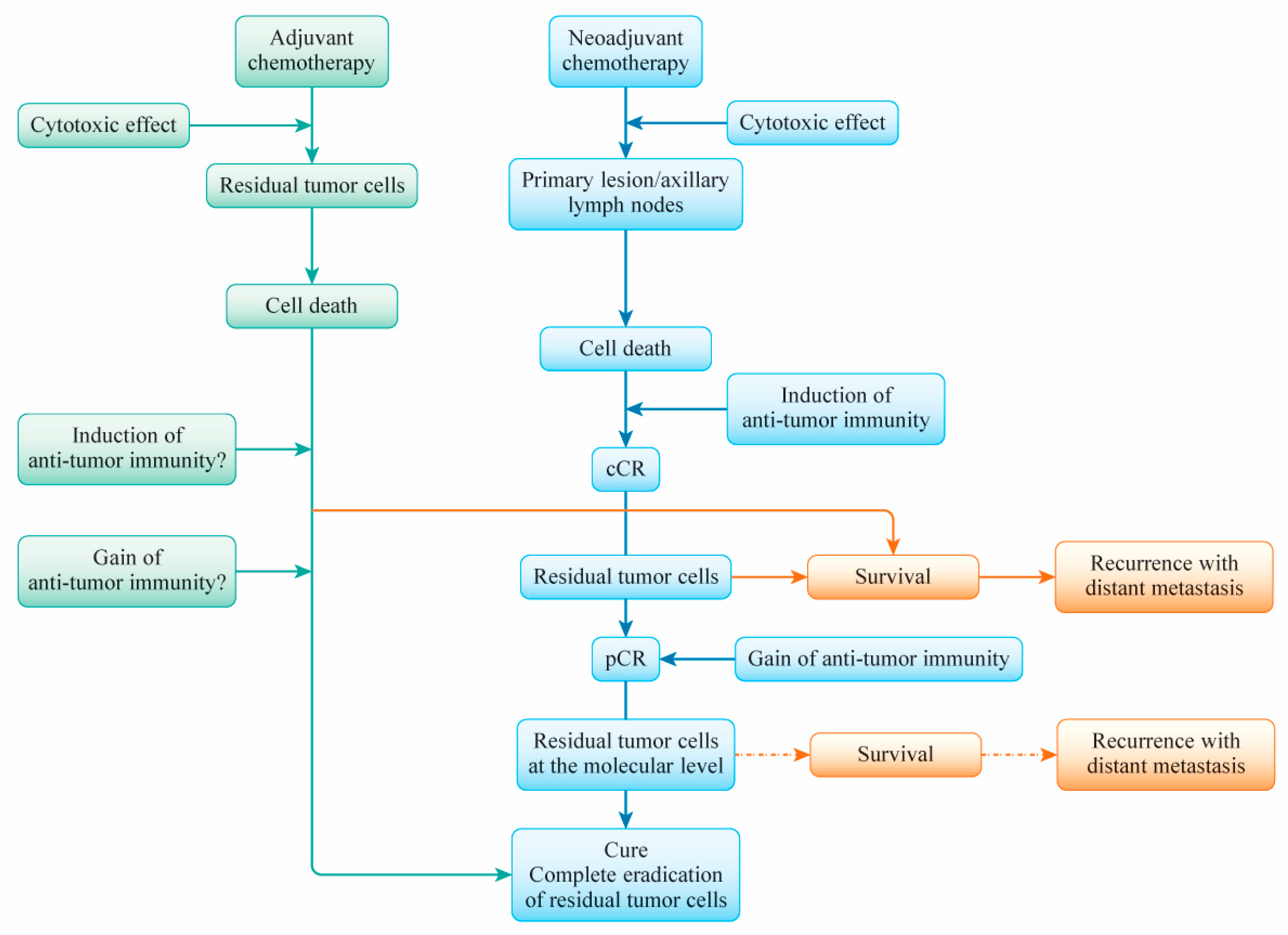 Cancers 13 00926 g002