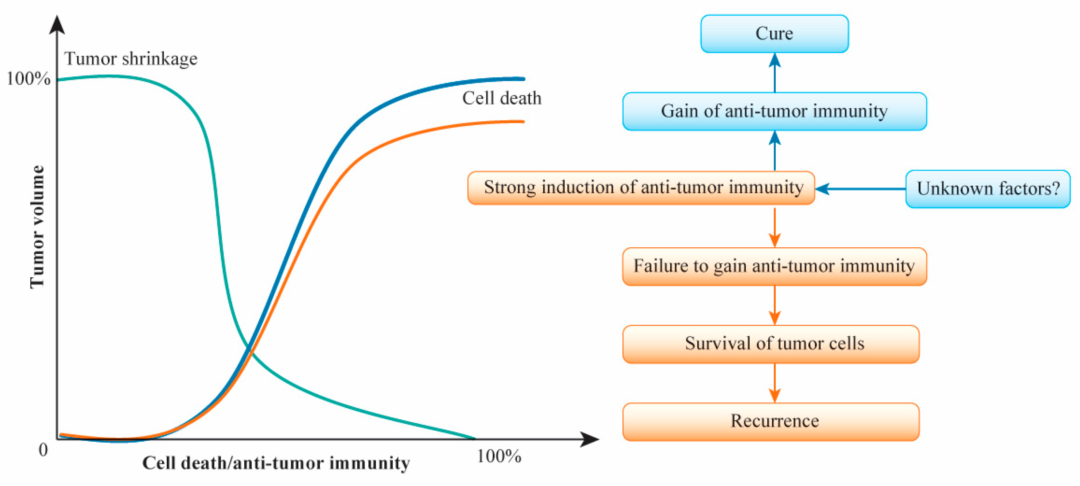 Cancers 13 00926 g003