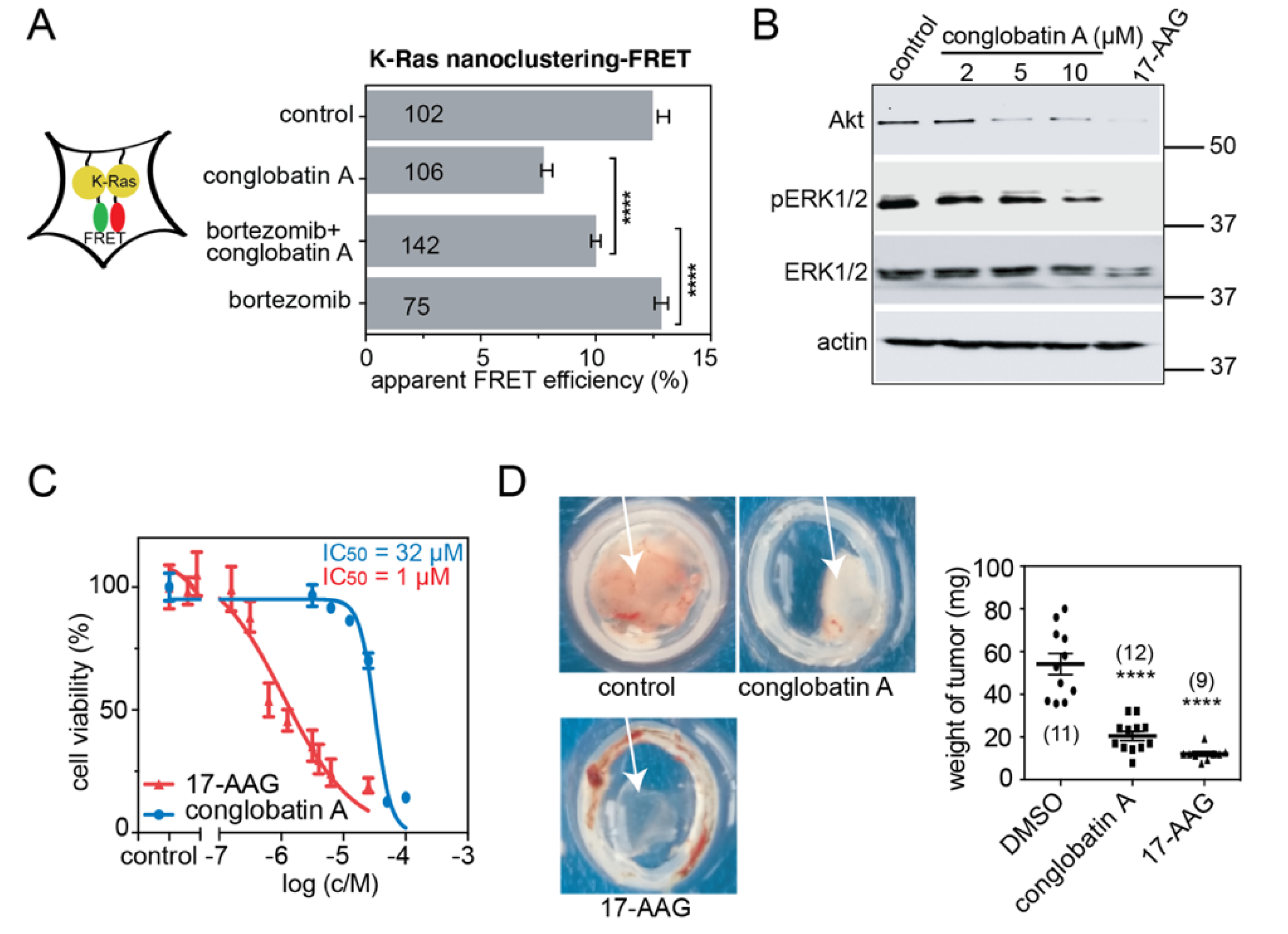 Cancers 13 00927 g002 Cancers 13 00927 g002