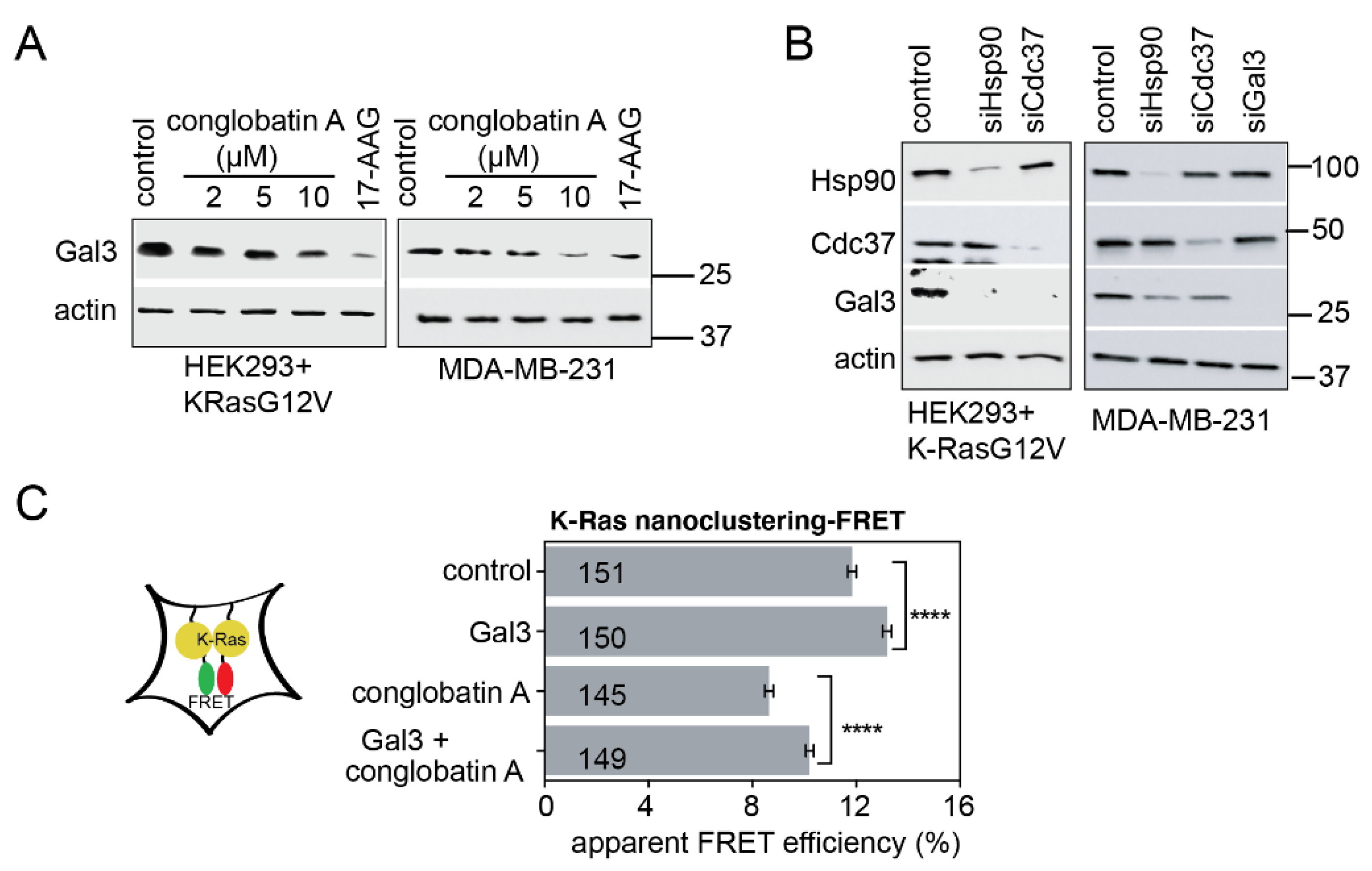 Cancers 13 00927 g003 Cancers 13 00927 g003