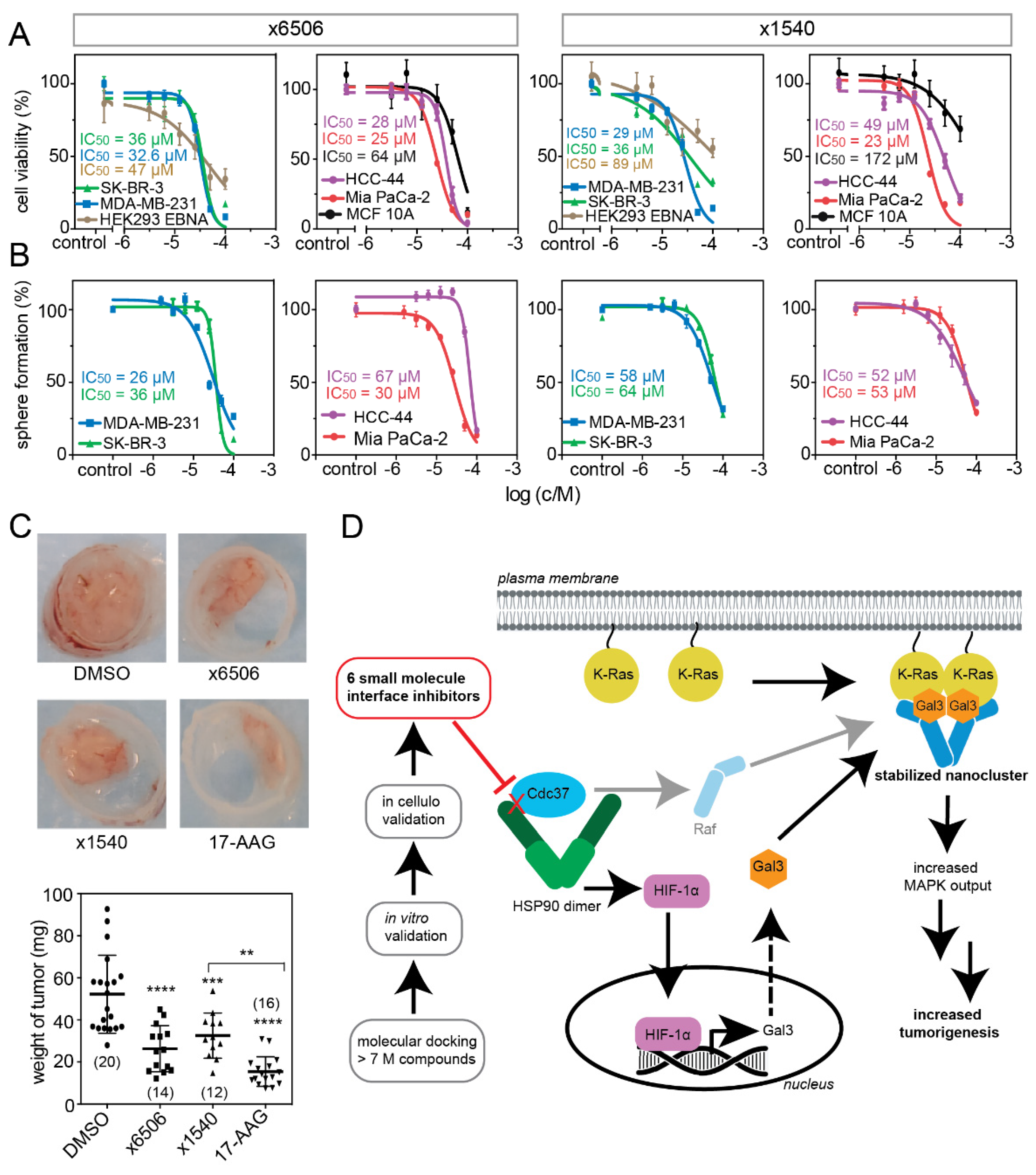 Cancers 13 00927 g007 Cancers 13 00927 g007