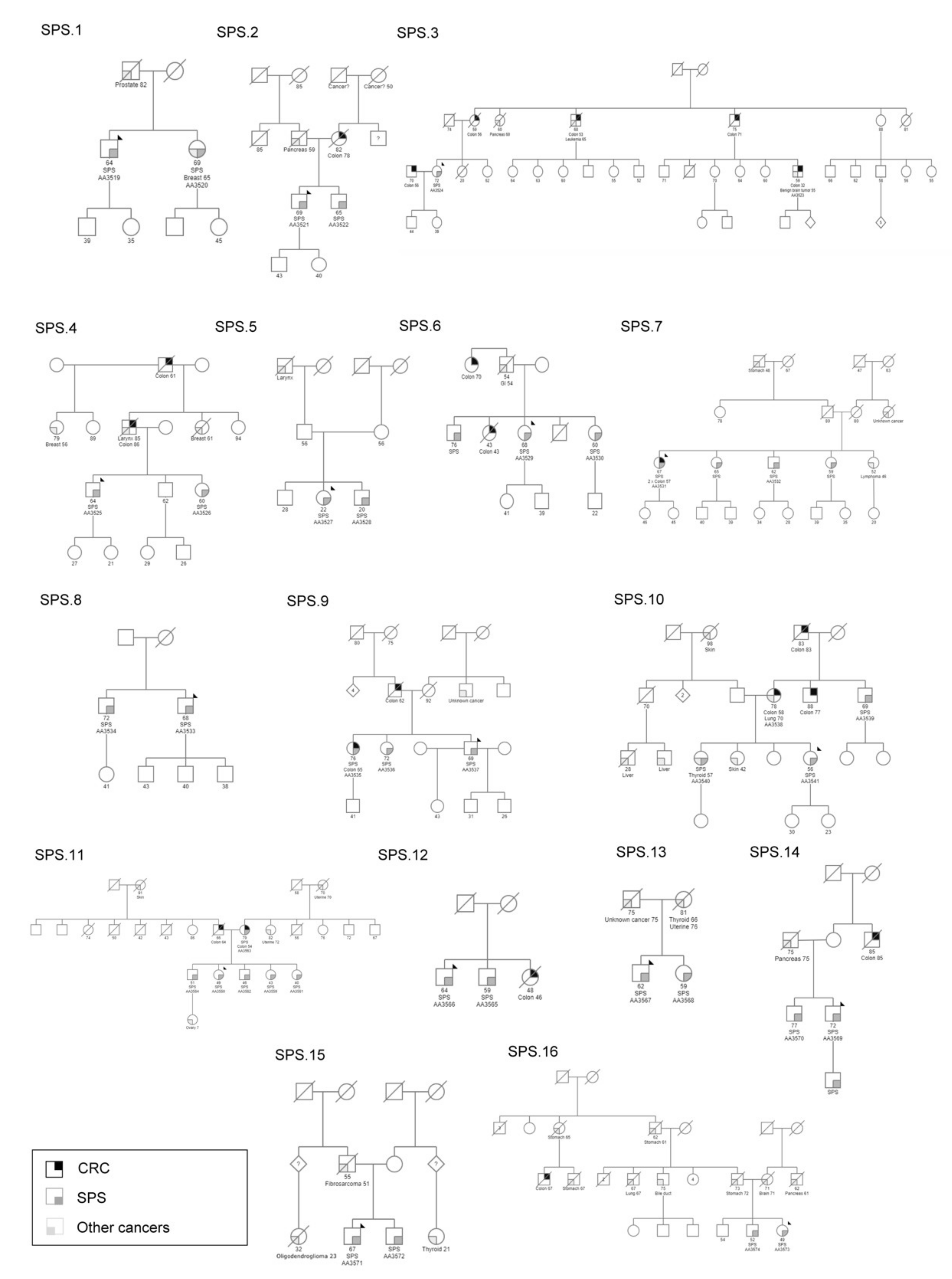 Cancers 13 00929 g001