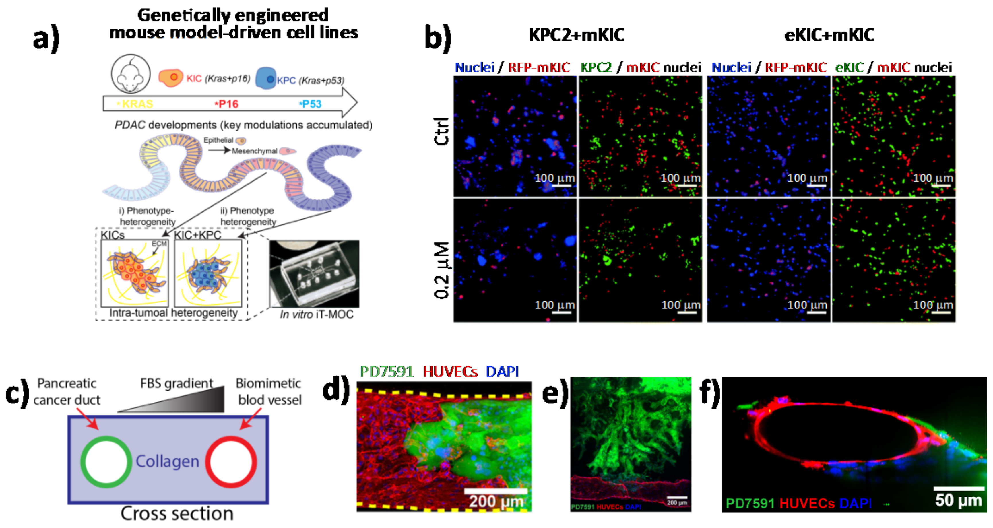 Cancers 13 00930 g004