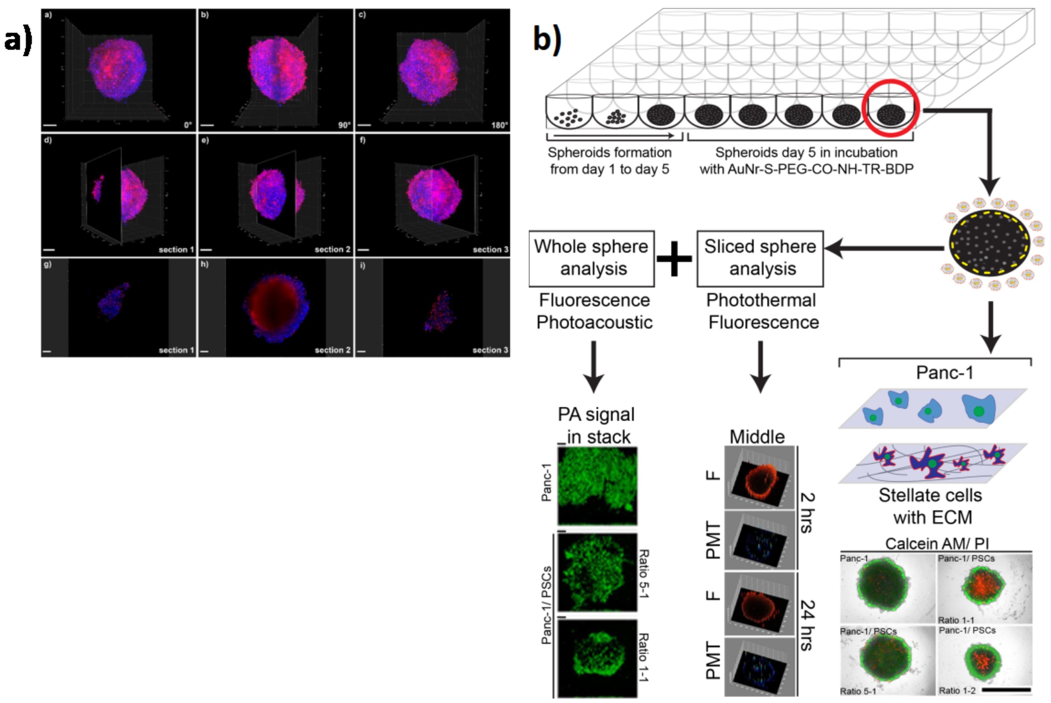 Cancers 13 00930 g005