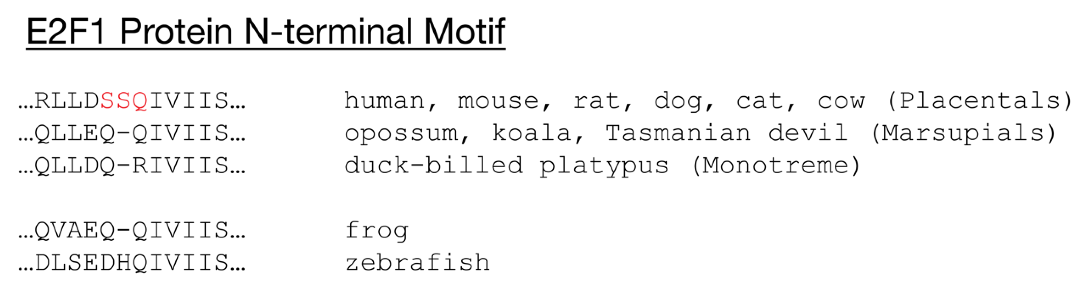 Cancers 13 00934 g004