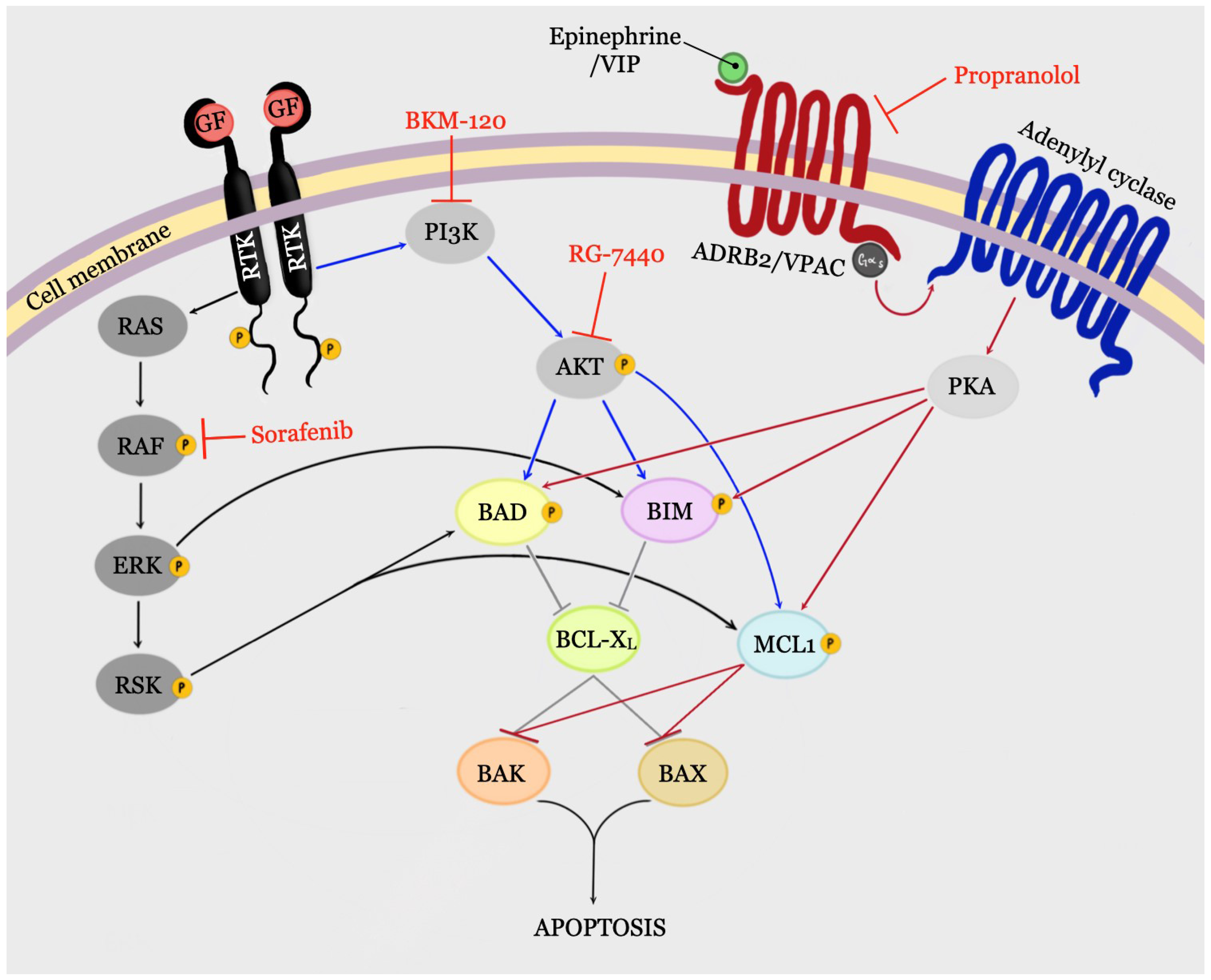 Cancers 13 00937 g002