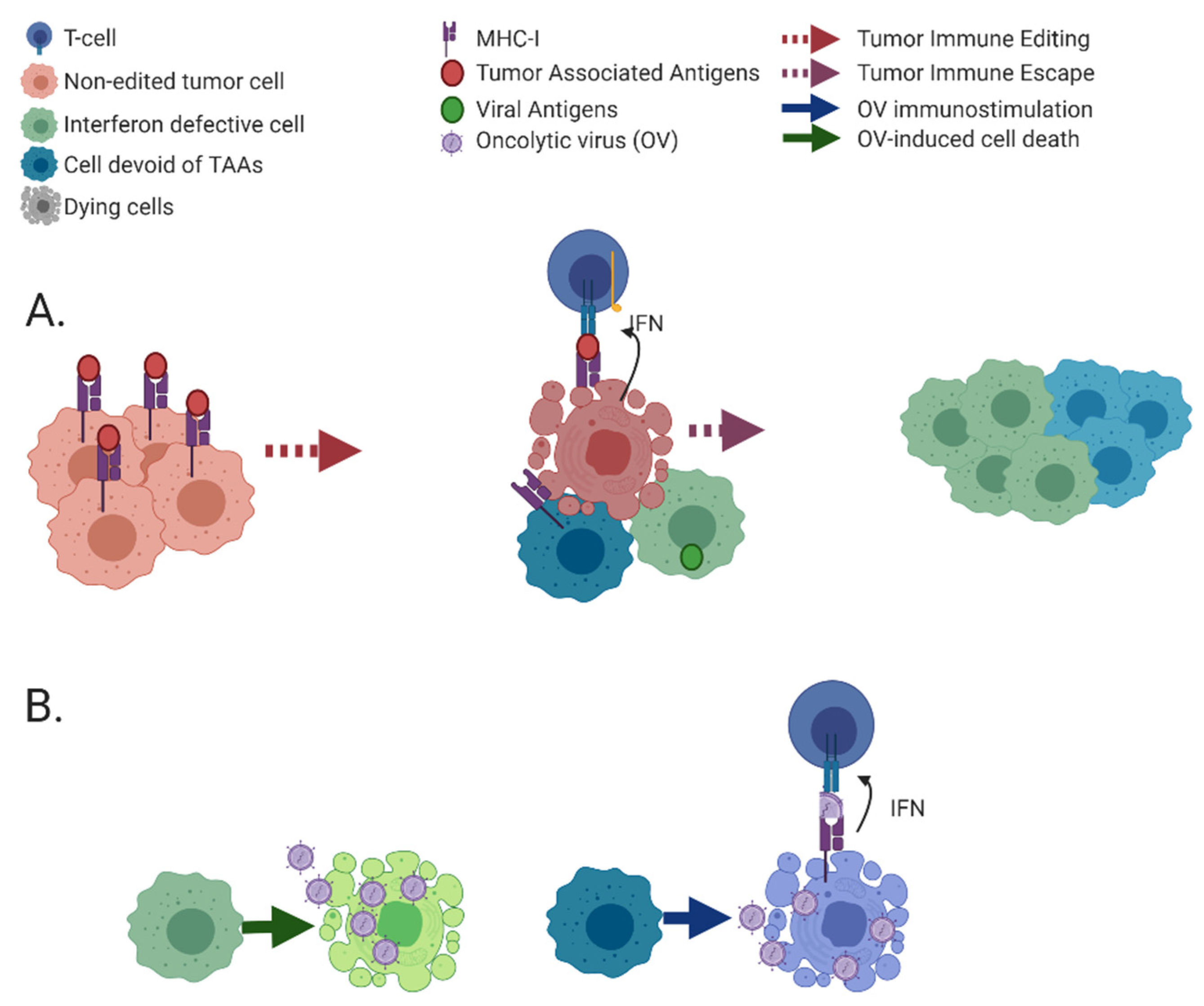 Cancers 13 00939 g002