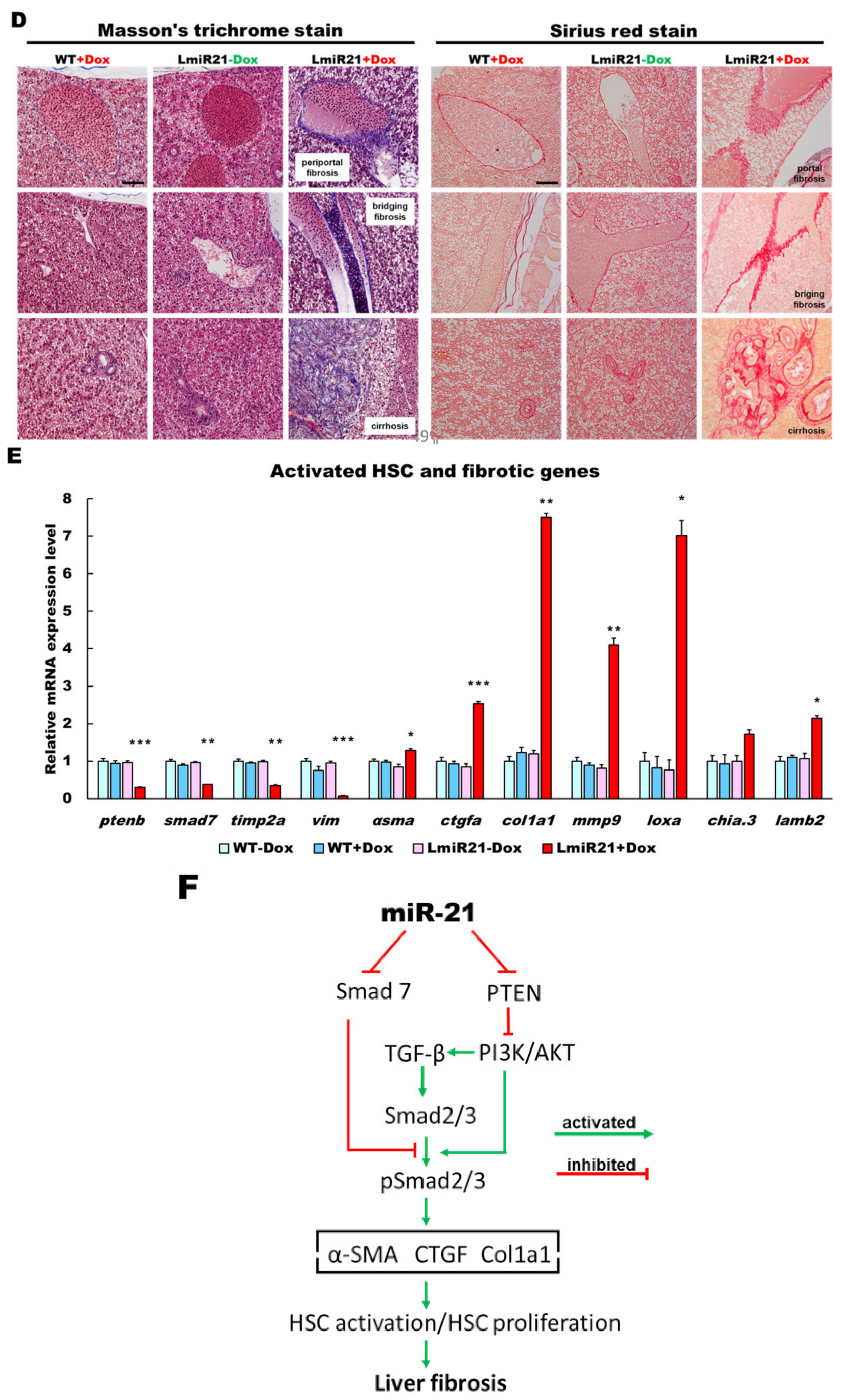 Cancers 13 00940 g005b
