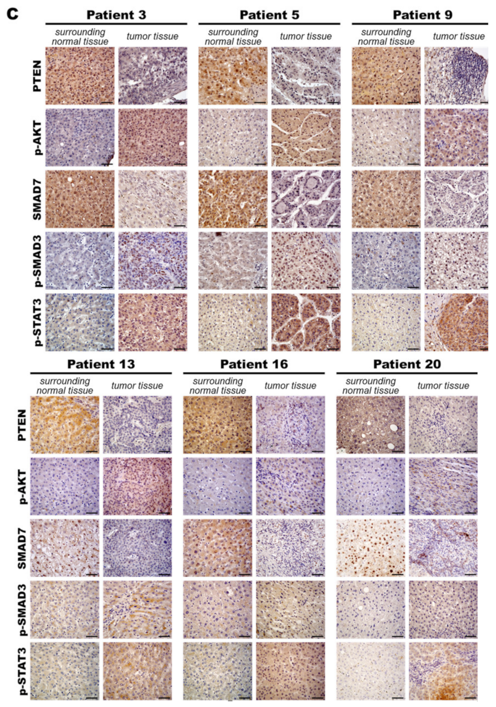 Cancers 13 00940 g008b