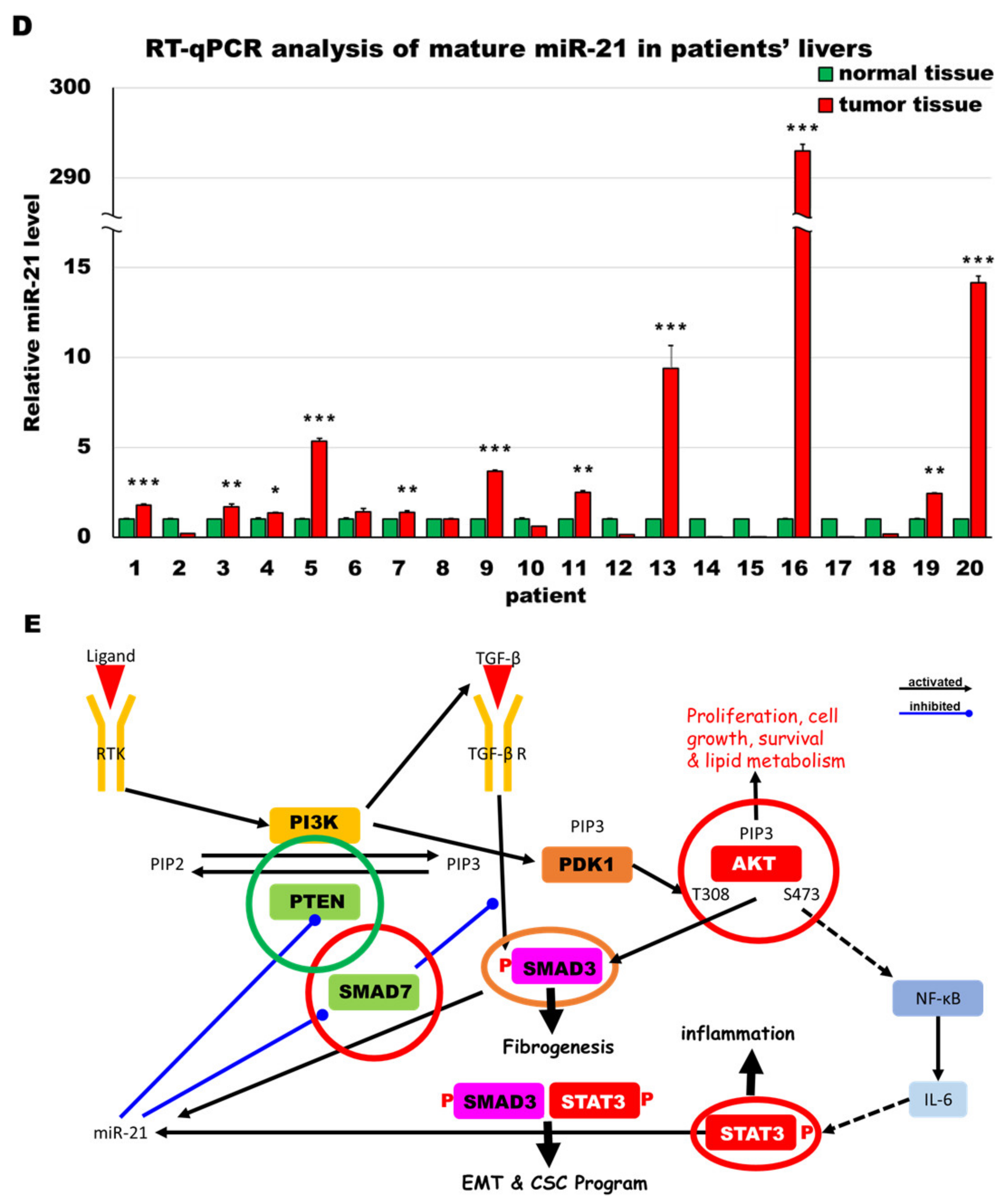 Cancers 13 00940 g008c