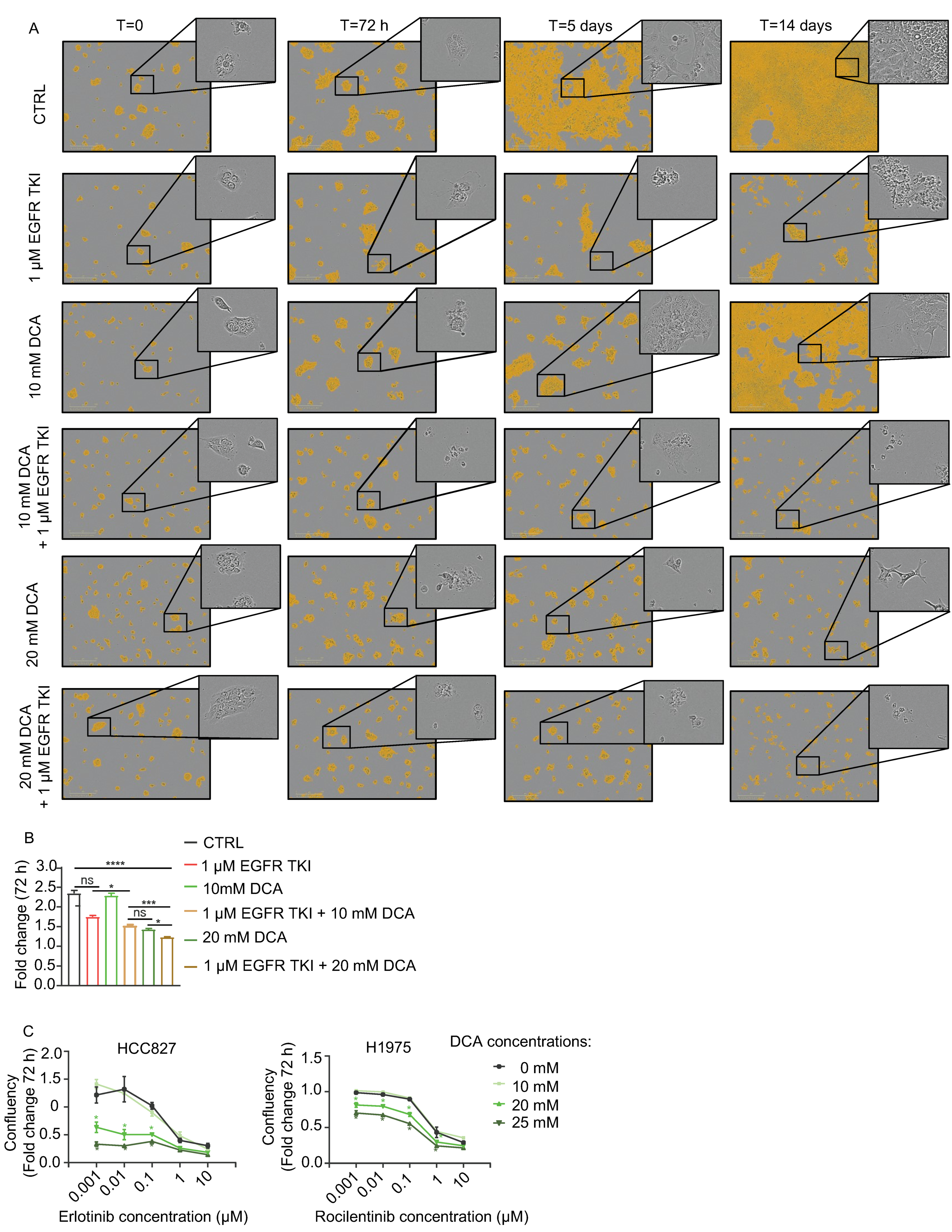 Cancers 13 00941 g002