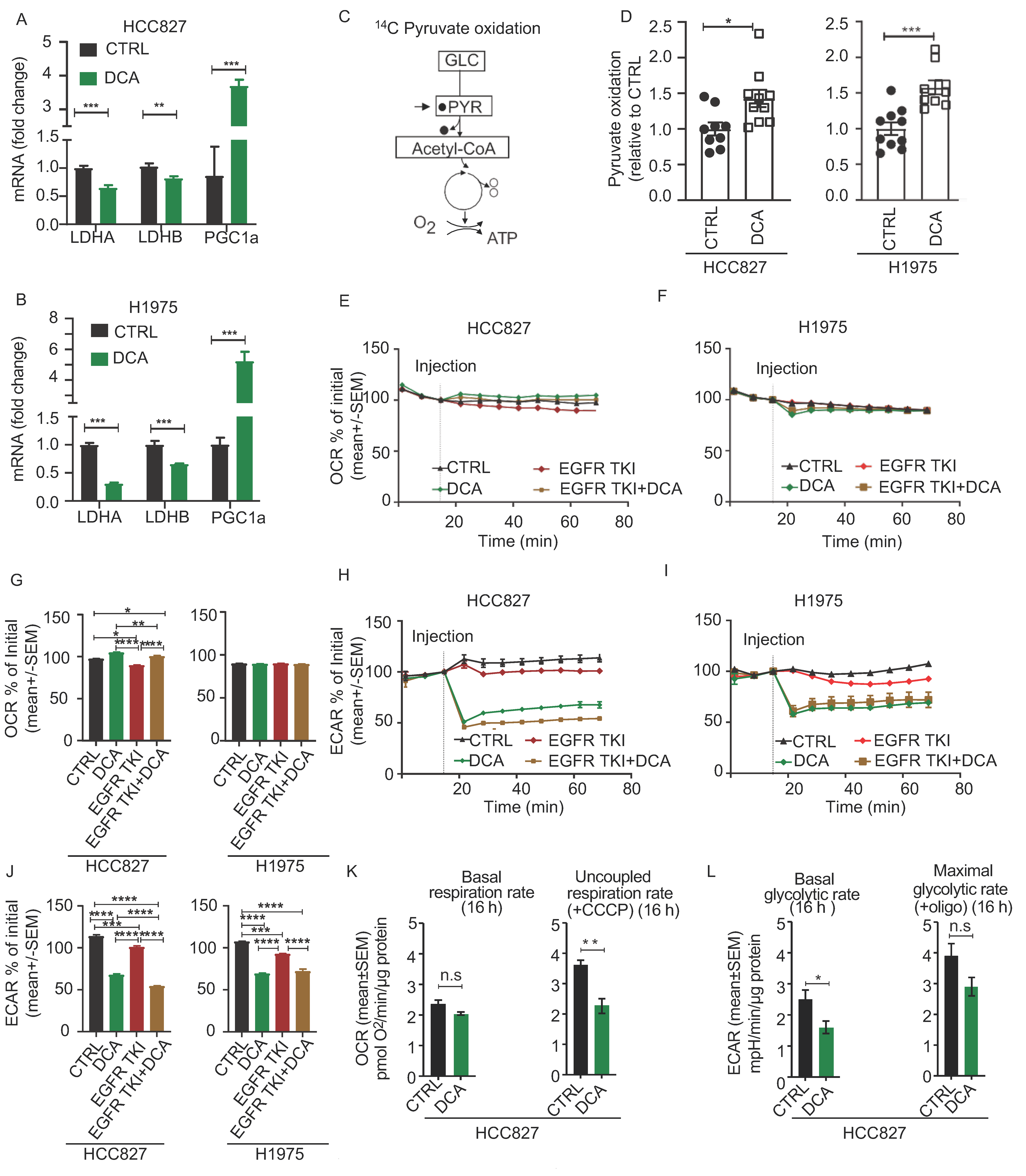 Cancers 13 00941 g003