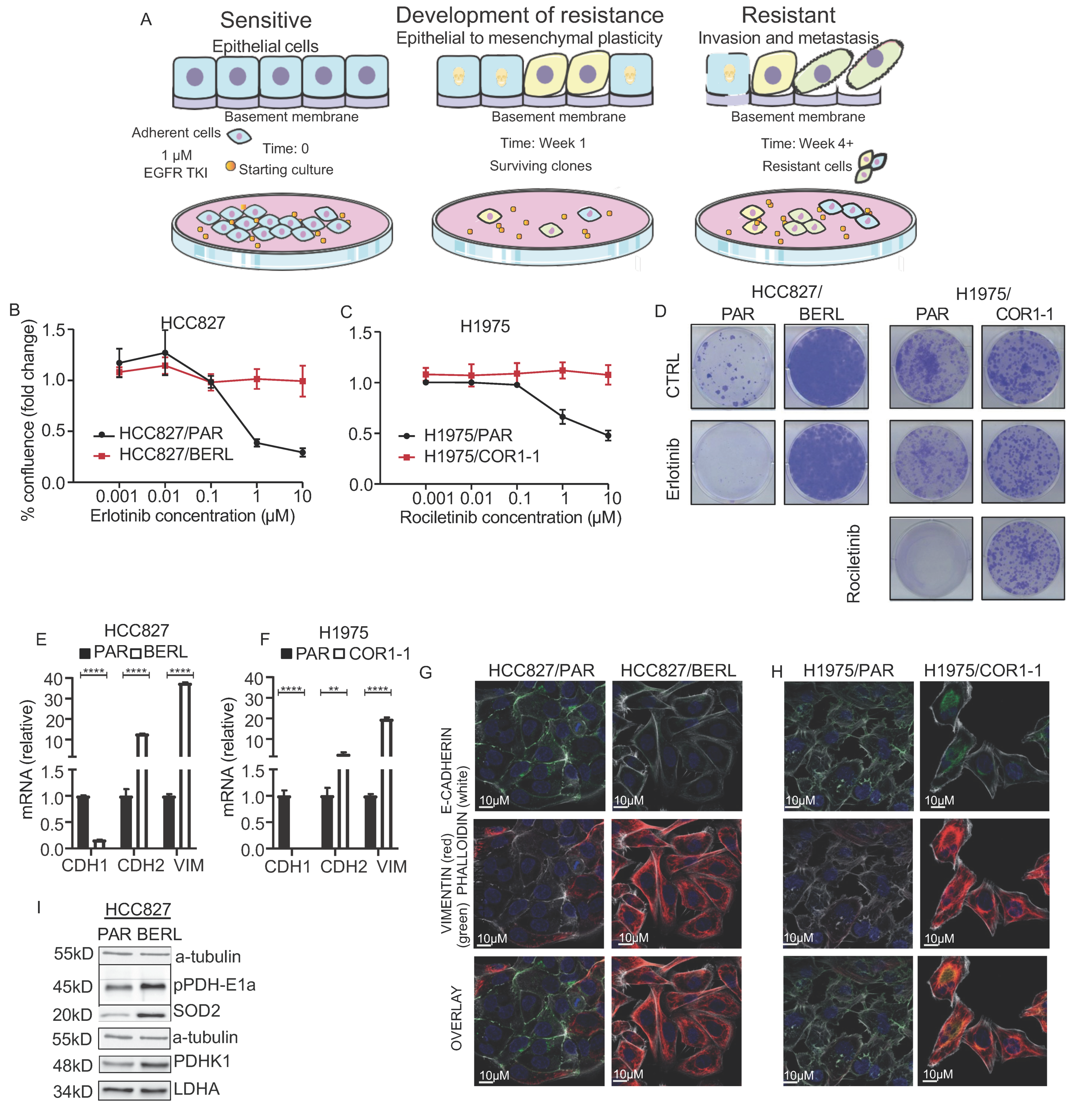 Cancers 13 00941 g004