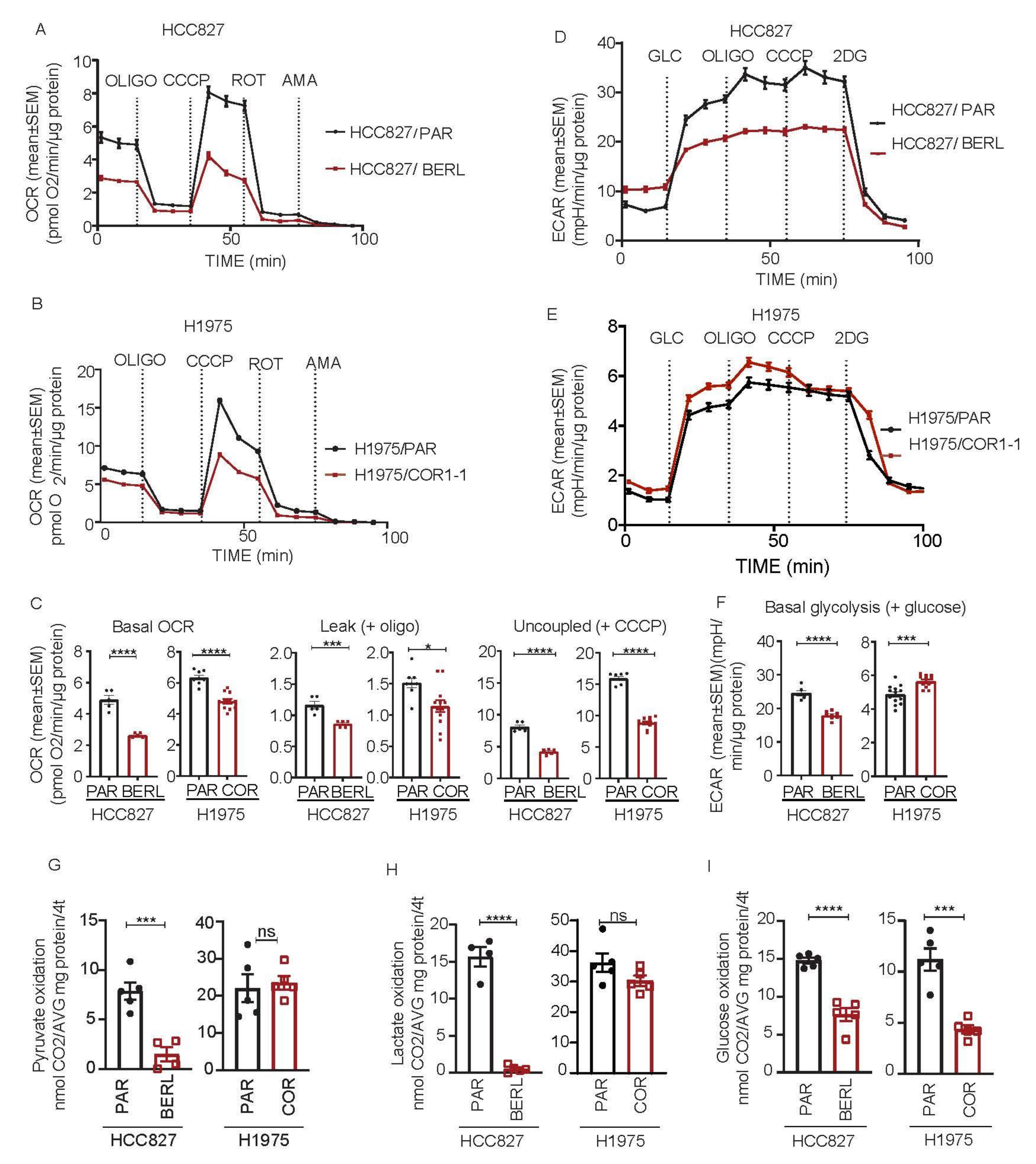 Cancers 13 00941 g005