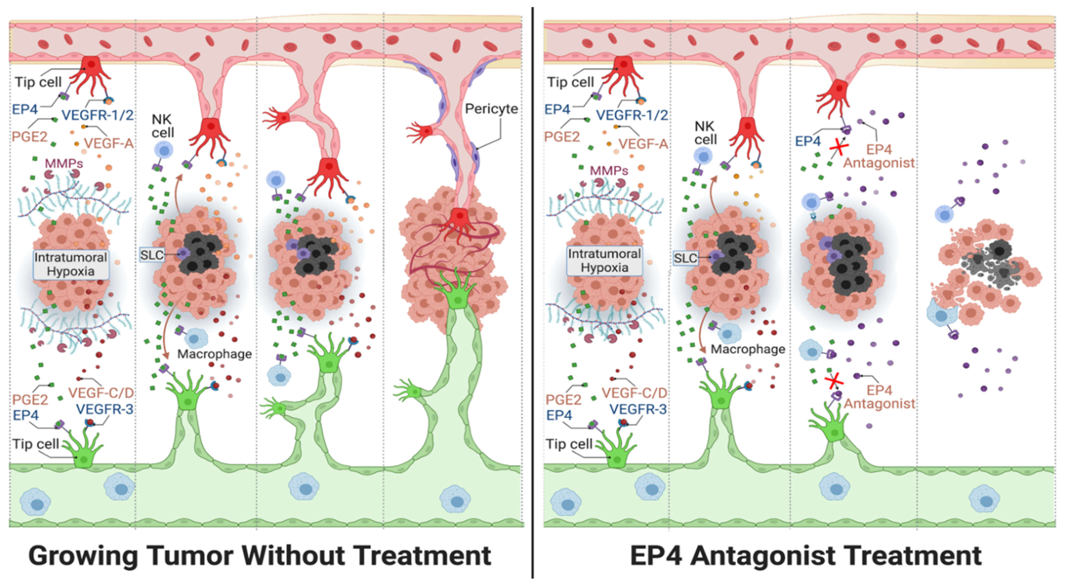 Cancers 13 00942 g008