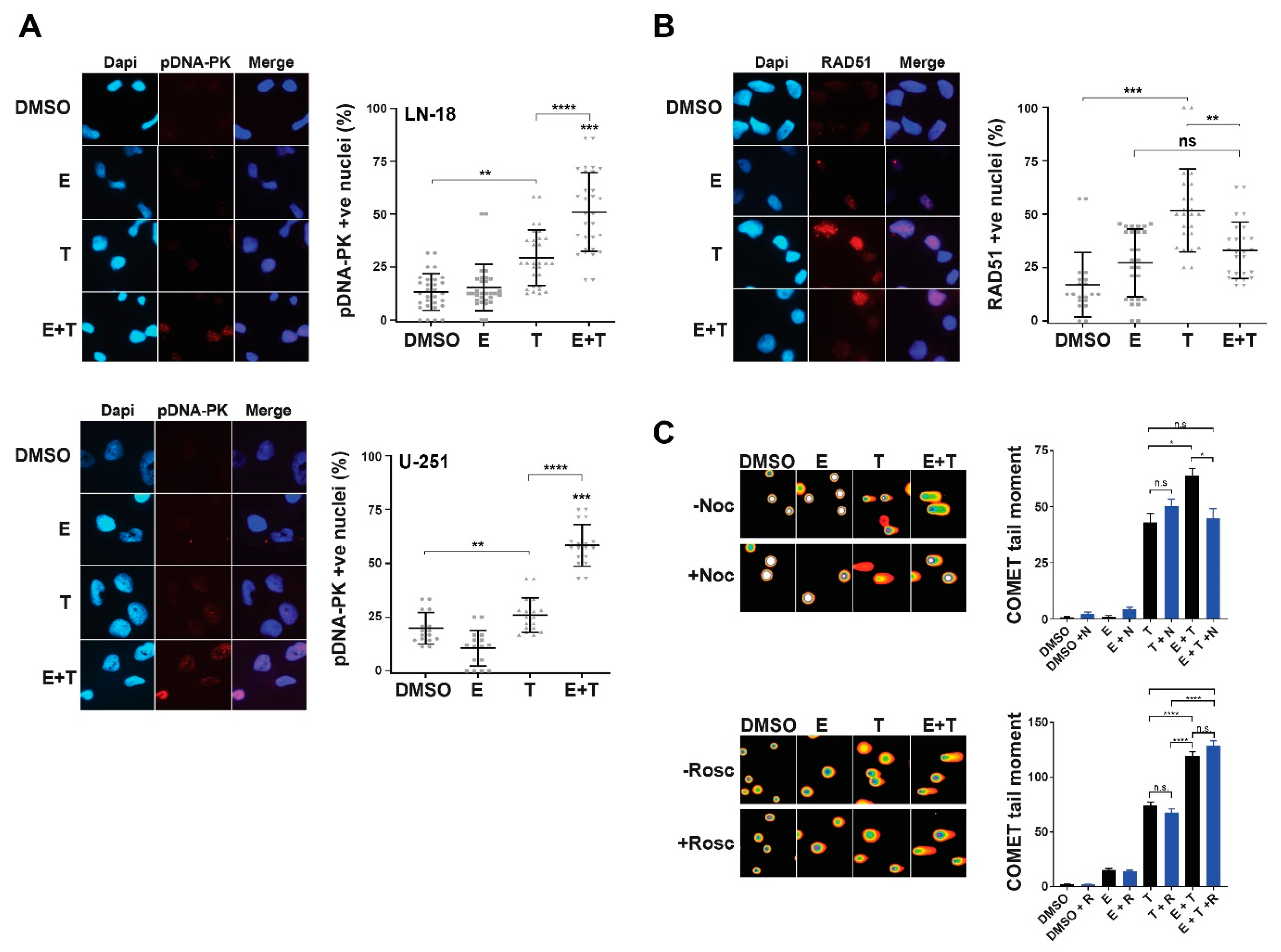 Cancers 13 00944 g003