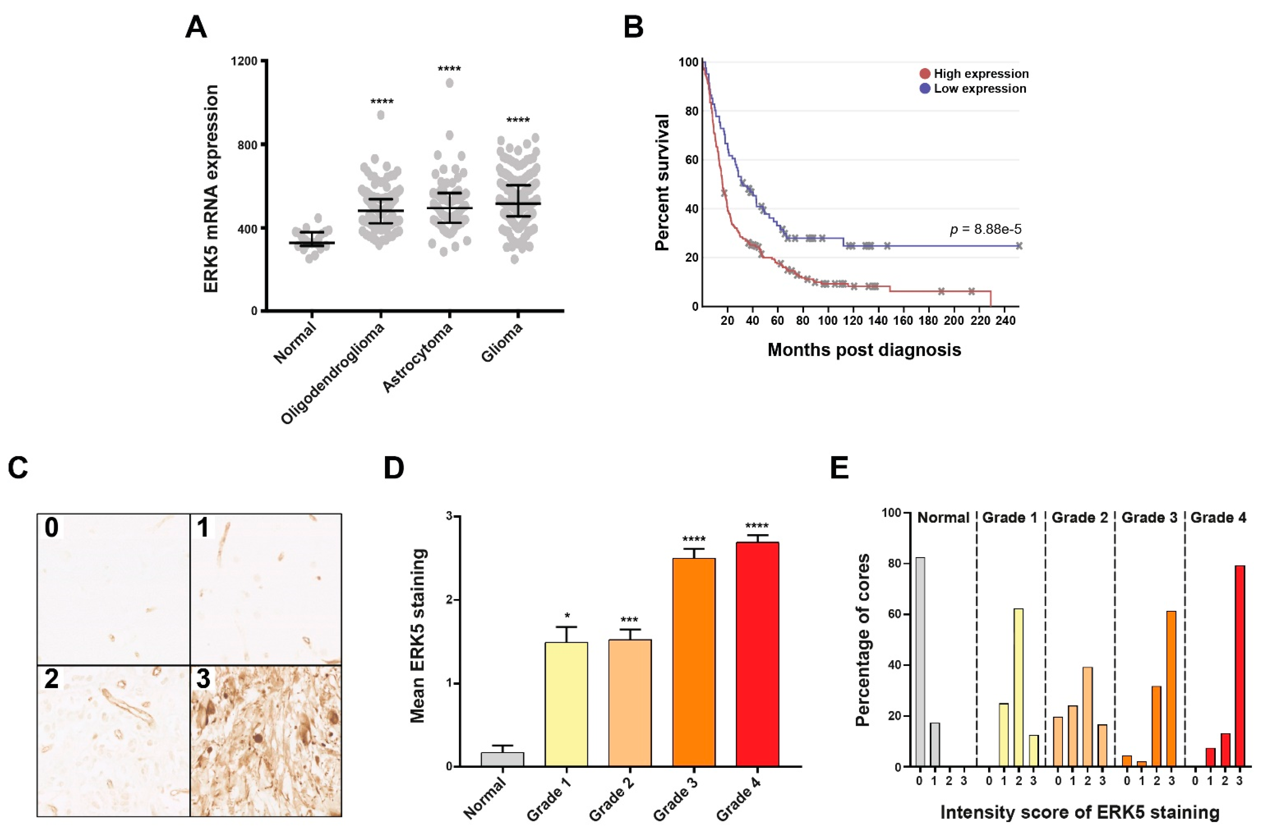 Cancers 13 00944 g004