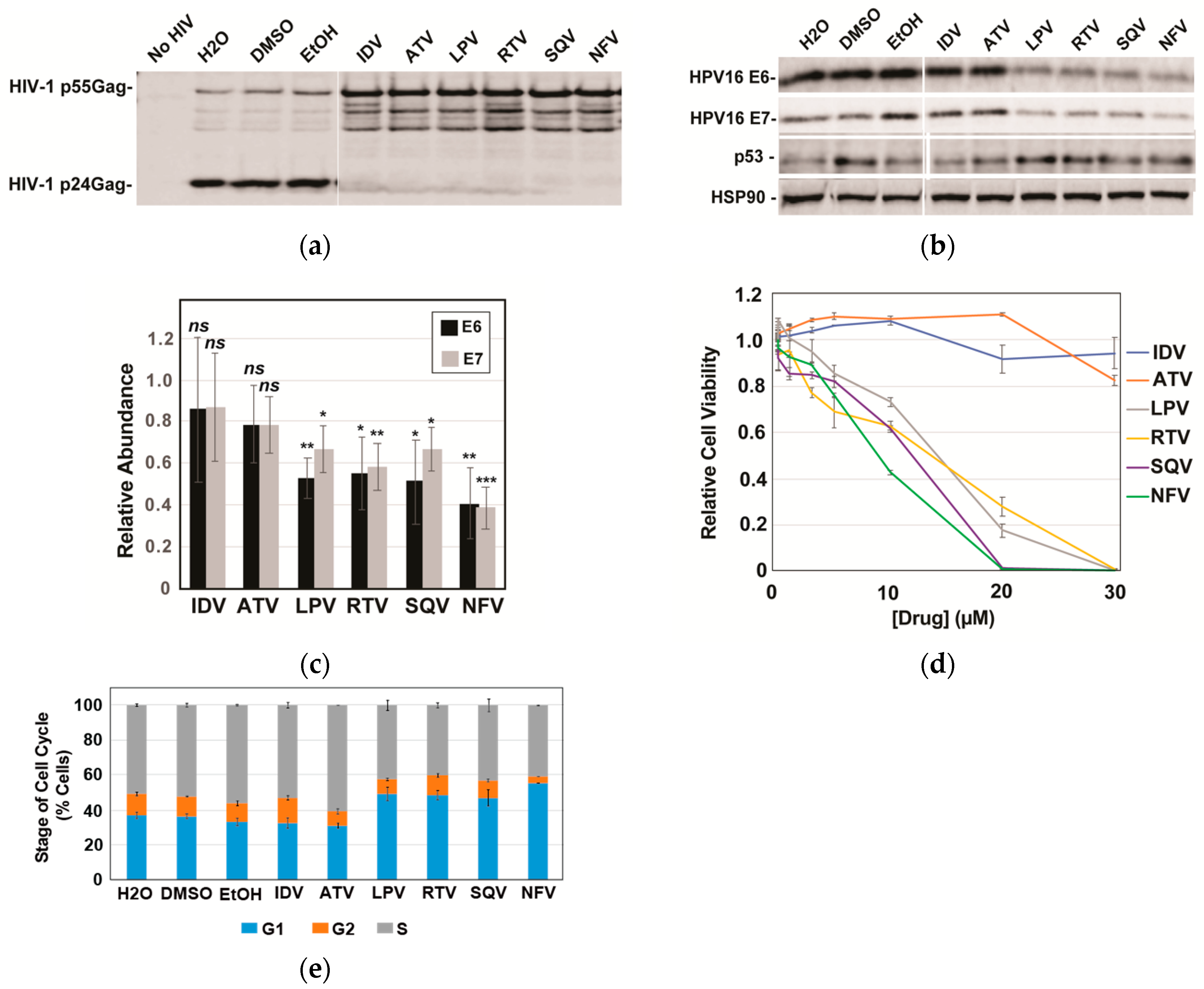 Cancers 13 00949 g002
