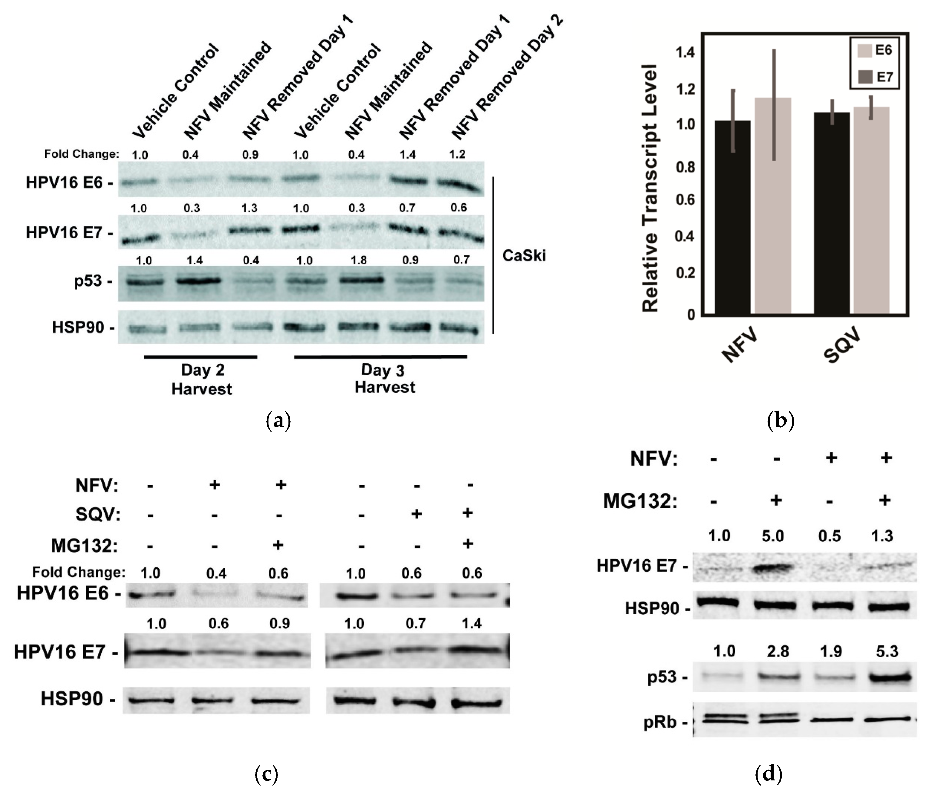 Cancers 13 00949 g003
