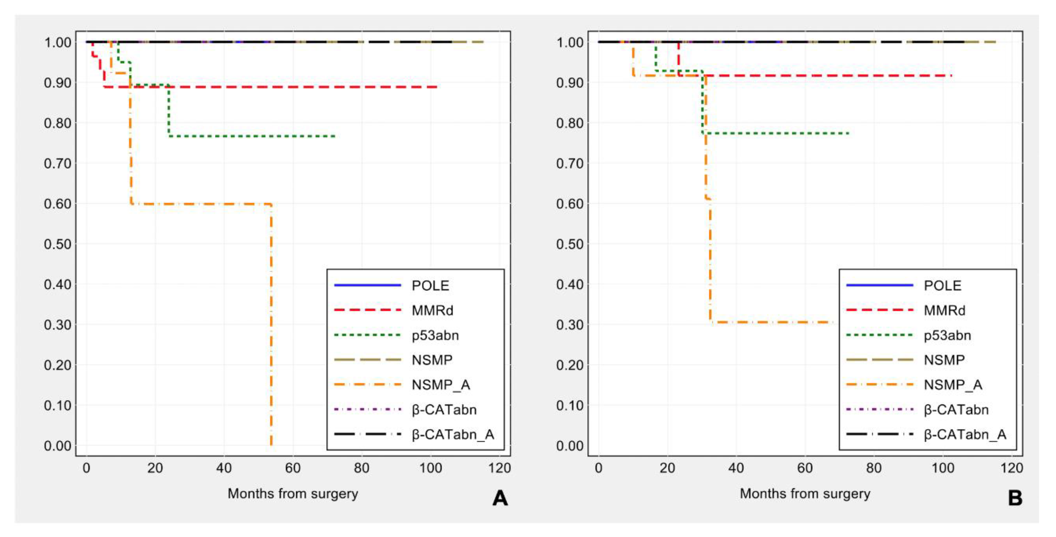 Cancers 13 00950 g011 Cancers 13 00950 g011