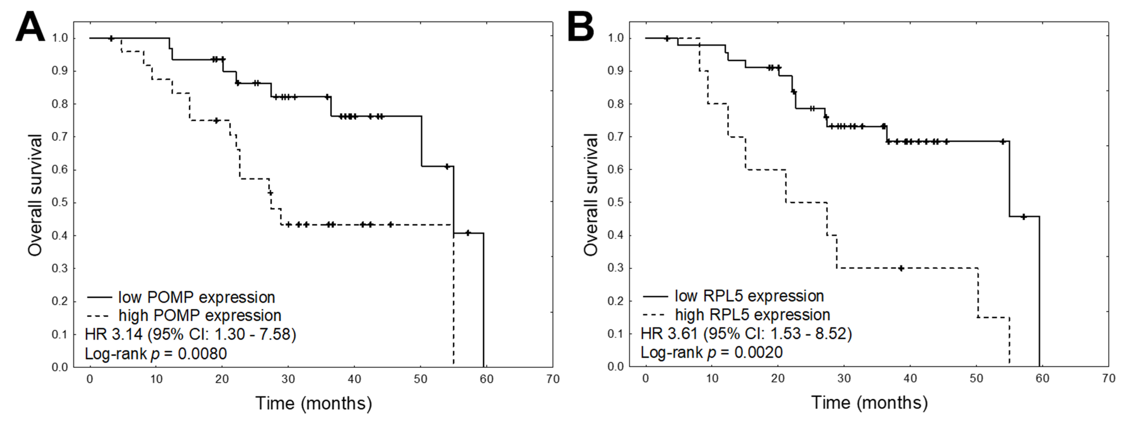 Cancers 13 00951 g004