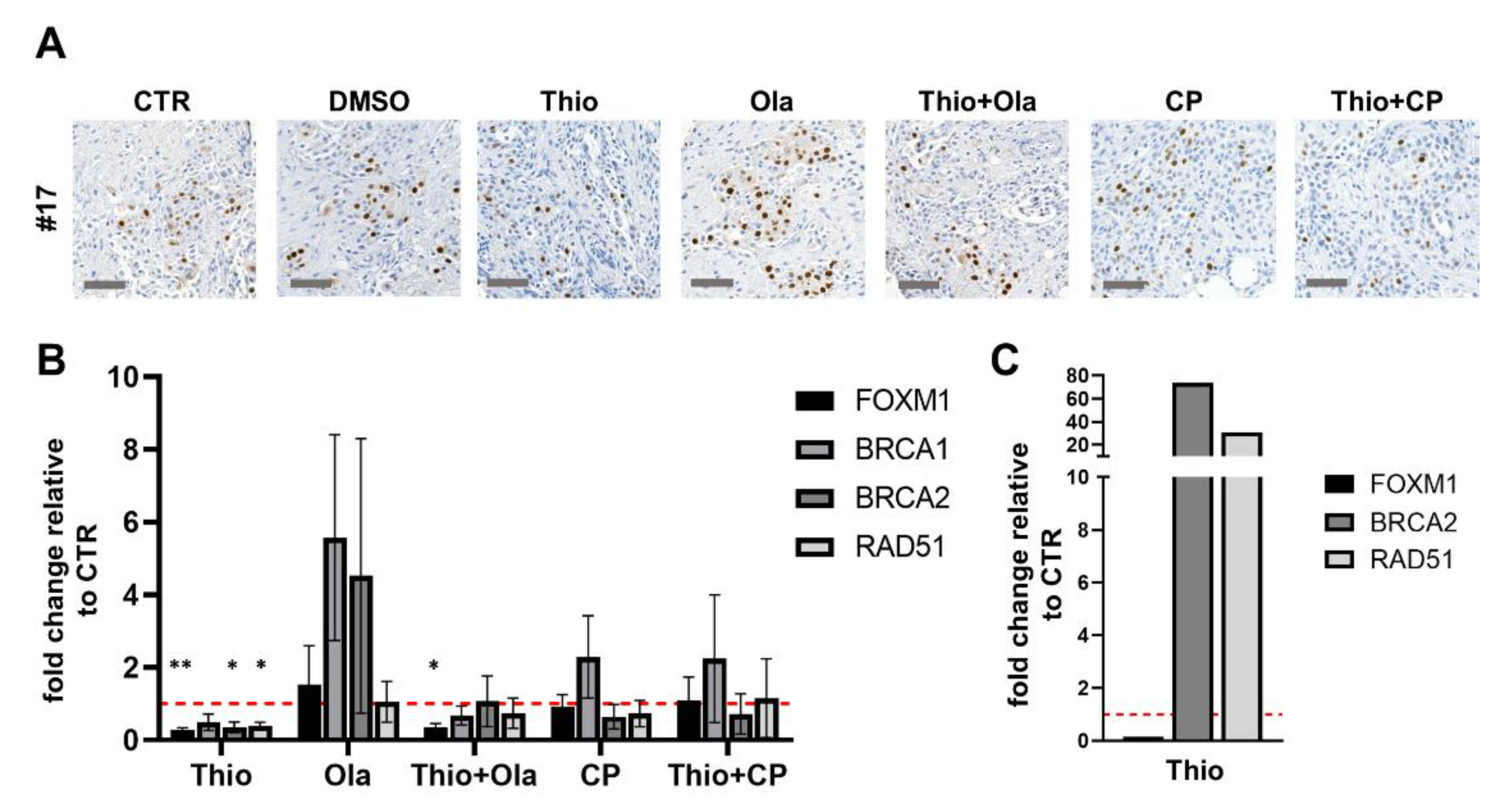 Cancers 13 00956 g004