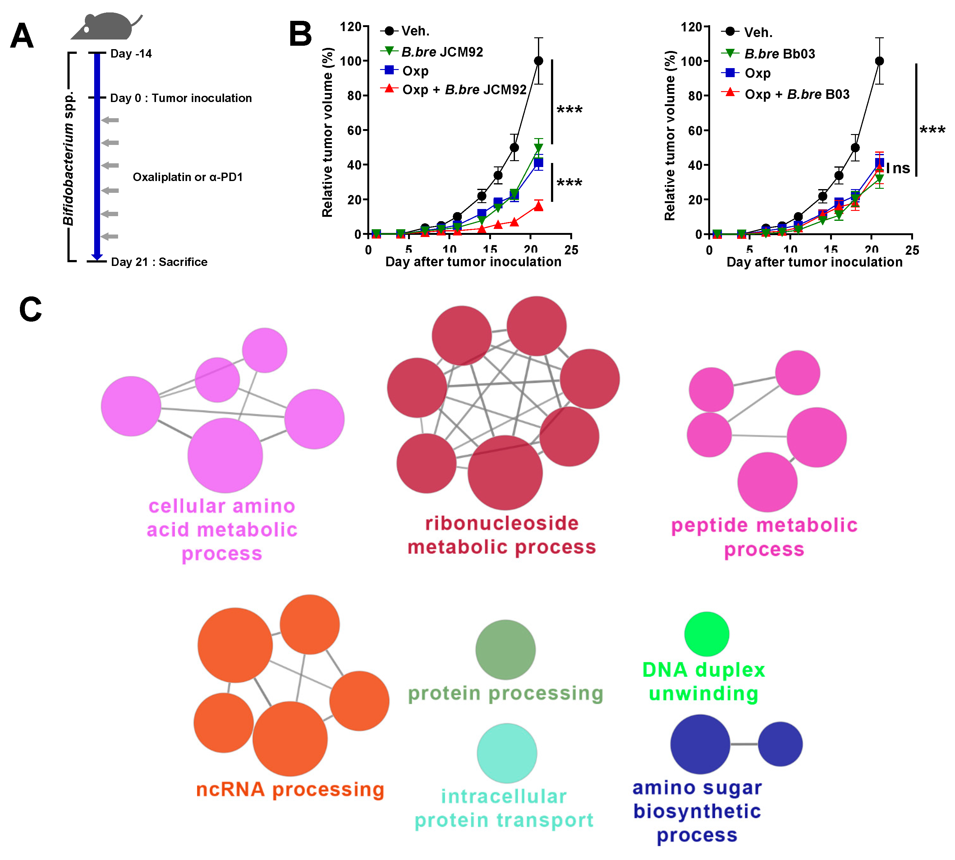 Cancers 13 00957 g001